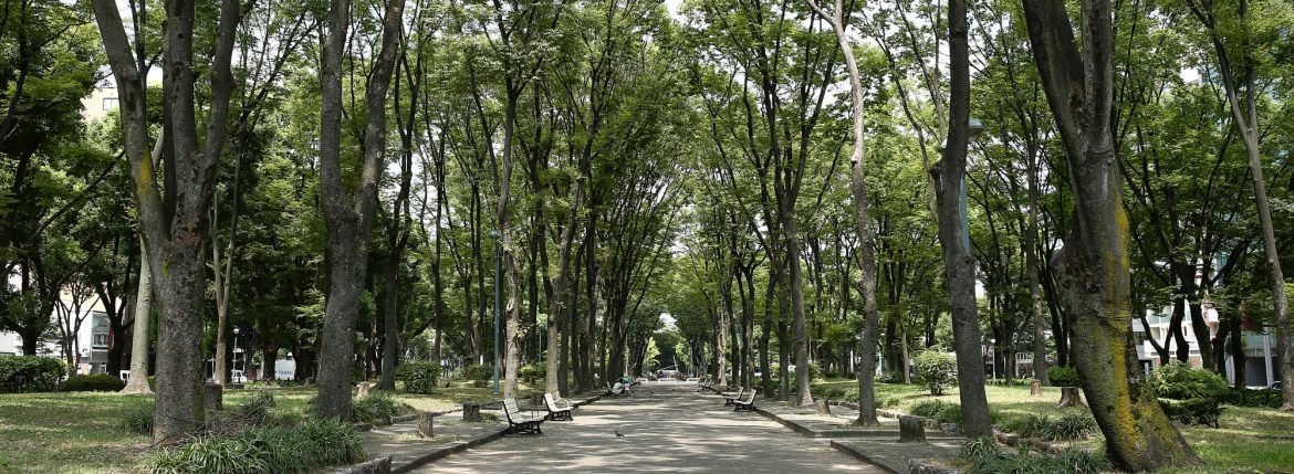 ZODIAC ゾディアック 愛知　名古屋 泉 セレクトショップ テレビ塔 公園 park 緑 グリーン