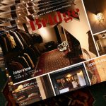 Bridge 2016.11 Vo.03 interviewのイメージ