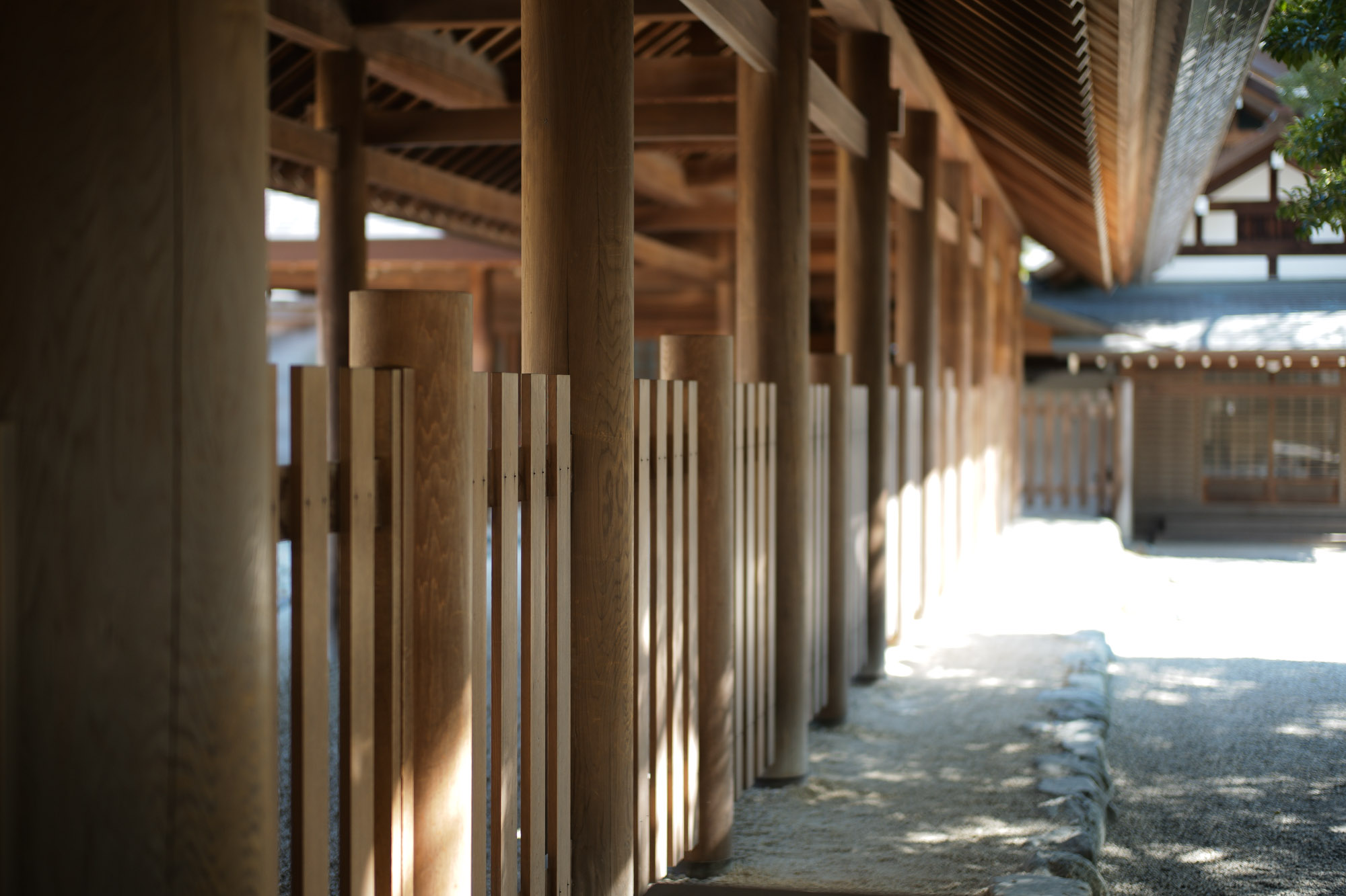 ATSUTA JINGU(熱田神宮) ///【LEICA M10 + SUMMILUX-M F1.4/50mm ASPH】 ライカM10作例 作例  愛知 名古屋 あつたじんぐう ライカM10 ライカM9 ライカM8 ライカMモノクローム leicam9 leicam8 leicamonochrom summilux ズミルックス ズミルクス