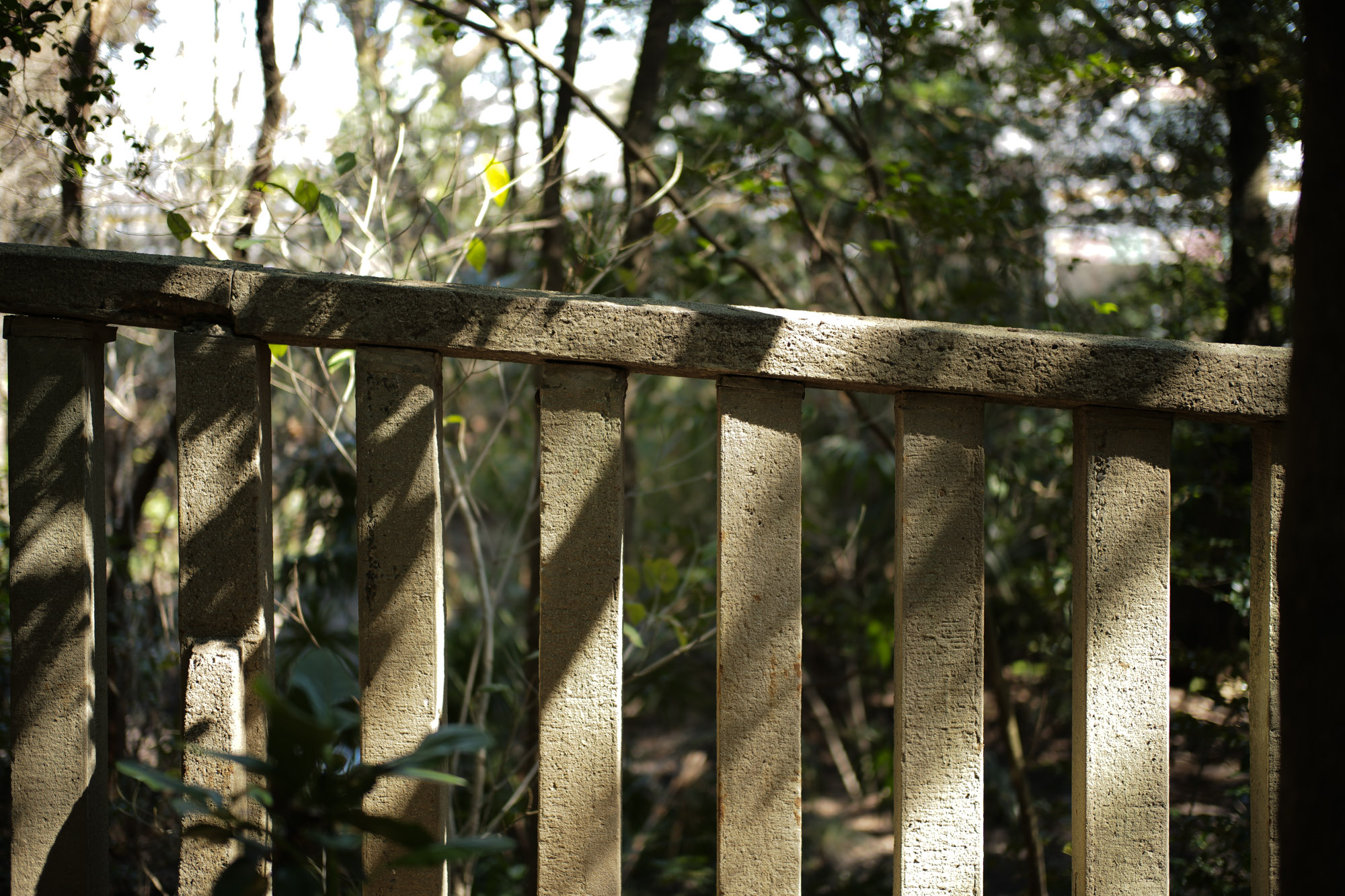 ATSUTA JINGU(熱田神宮) ///【LEICA M10 + SUMMILUX-M F1.4/50mm ASPH】 ライカM10作例 作例  愛知 名古屋 あつたじんぐう ライカM10 ライカM9 ライカM8 ライカMモノクローム leicam9 leicam8 leicamonochrom summilux ズミルックス ズミルクス