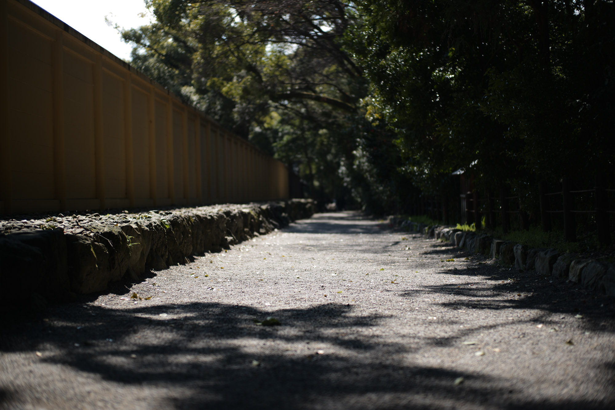 ATSUTA JINGU(熱田神宮) ///【LEICA M10 + SUMMILUX-M F1.4/50mm ASPH】 ライカM10作例 作例  愛知 名古屋 あつたじんぐう ライカM10 ライカM9 ライカM8 ライカMモノクローム leicam9 leicam8 leicamonochrom summilux ズミルックス ズミルクス