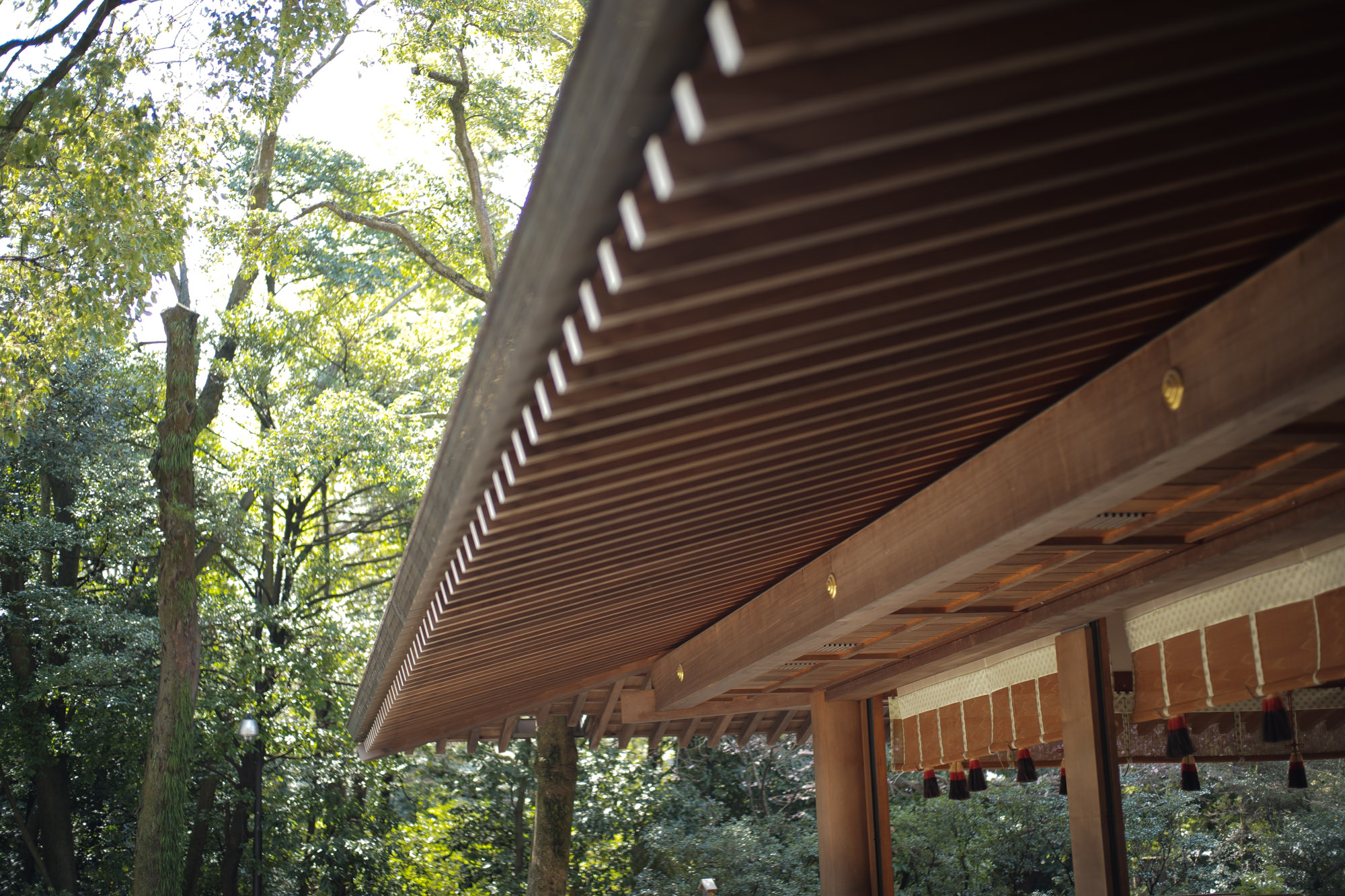 ATSUTA JINGU(熱田神宮) ///【LEICA M10 + SUMMILUX-M F1.4/50mm ASPH】 ライカM10作例 作例  愛知 名古屋 あつたじんぐう ライカM10 ライカM9 ライカM8 ライカMモノクローム leicam9 leicam8 leicamonochrom summilux ズミルックス ズミルクス