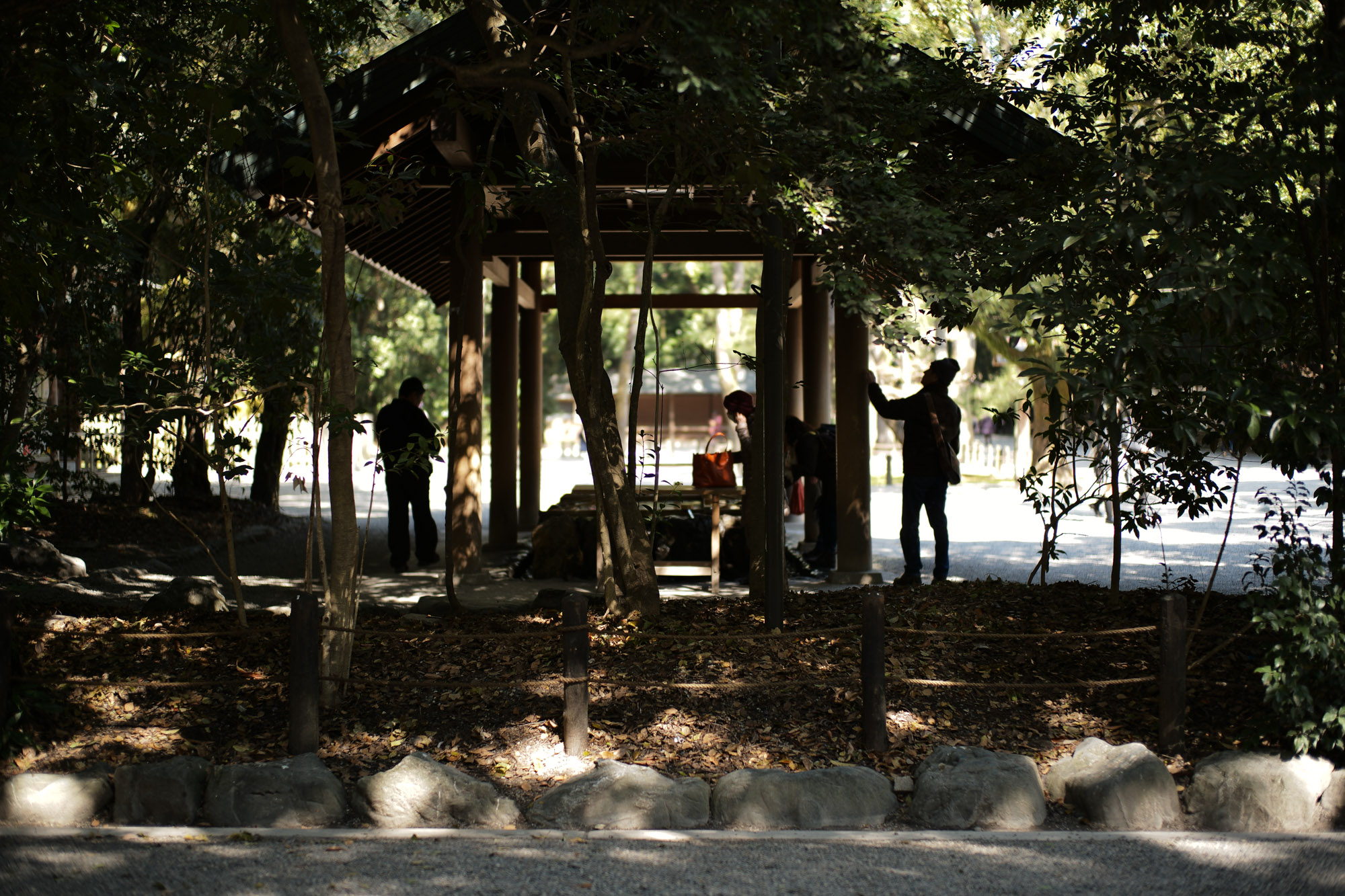 ATSUTA JINGU(熱田神宮) ///【LEICA M10 + SUMMILUX-M F1.4/50mm ASPH】 ライカM10作例 作例  愛知 名古屋 あつたじんぐう ライカM10 ライカM9 ライカM8 ライカMモノクローム leicam9 leicam8 leicamonochrom summilux ズミルックス ズミルクス