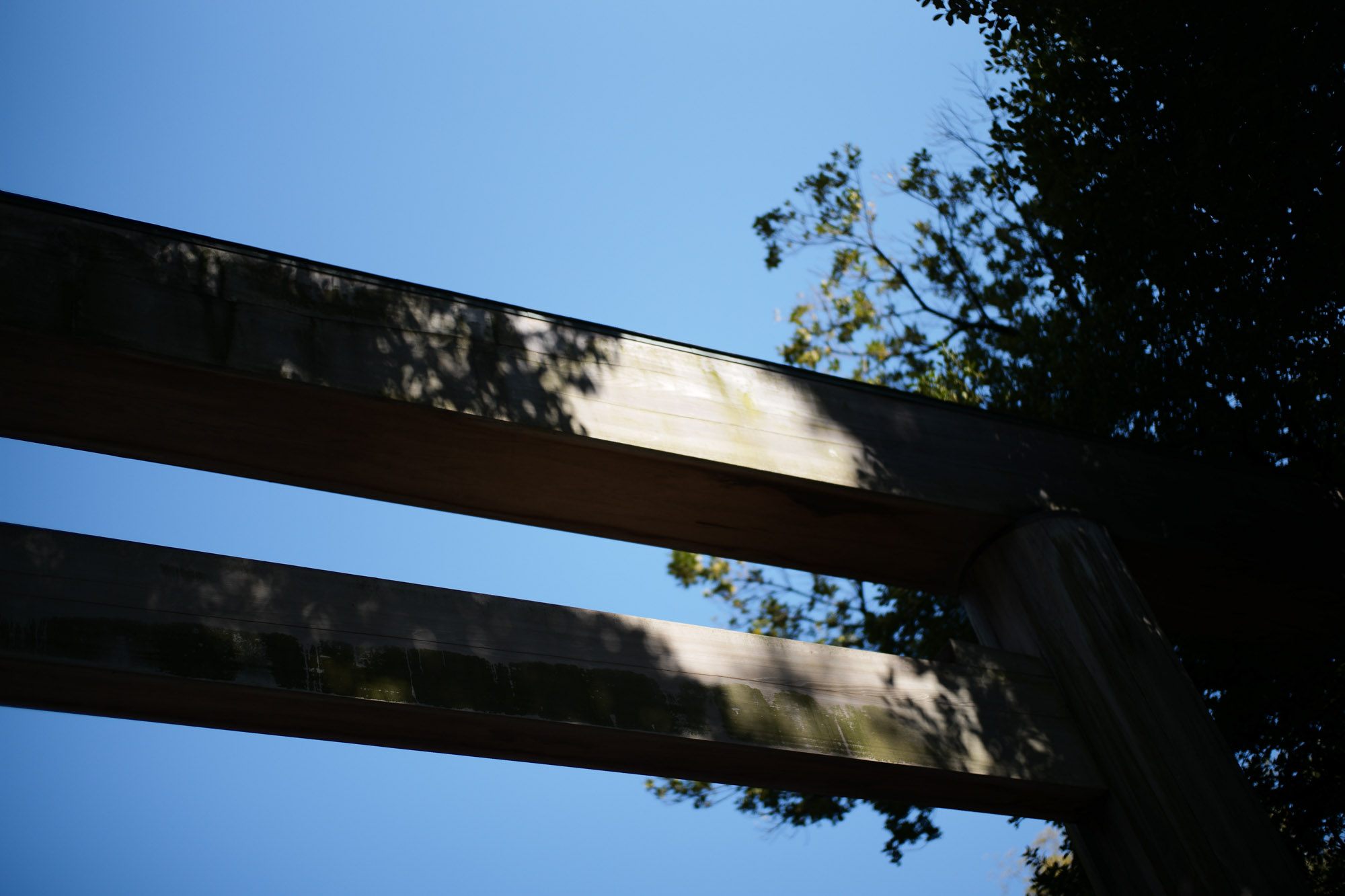 ATSUTA JINGU(熱田神宮) ///【LEICA M10 + SUMMILUX-M F1.4/50mm ASPH】 ライカM10作例 作例  愛知 名古屋 あつたじんぐう ライカM10 ライカM9 ライカM8 ライカMモノクローム leicam9 leicam8 leicamonochrom summilux ズミルックス ズミルクス