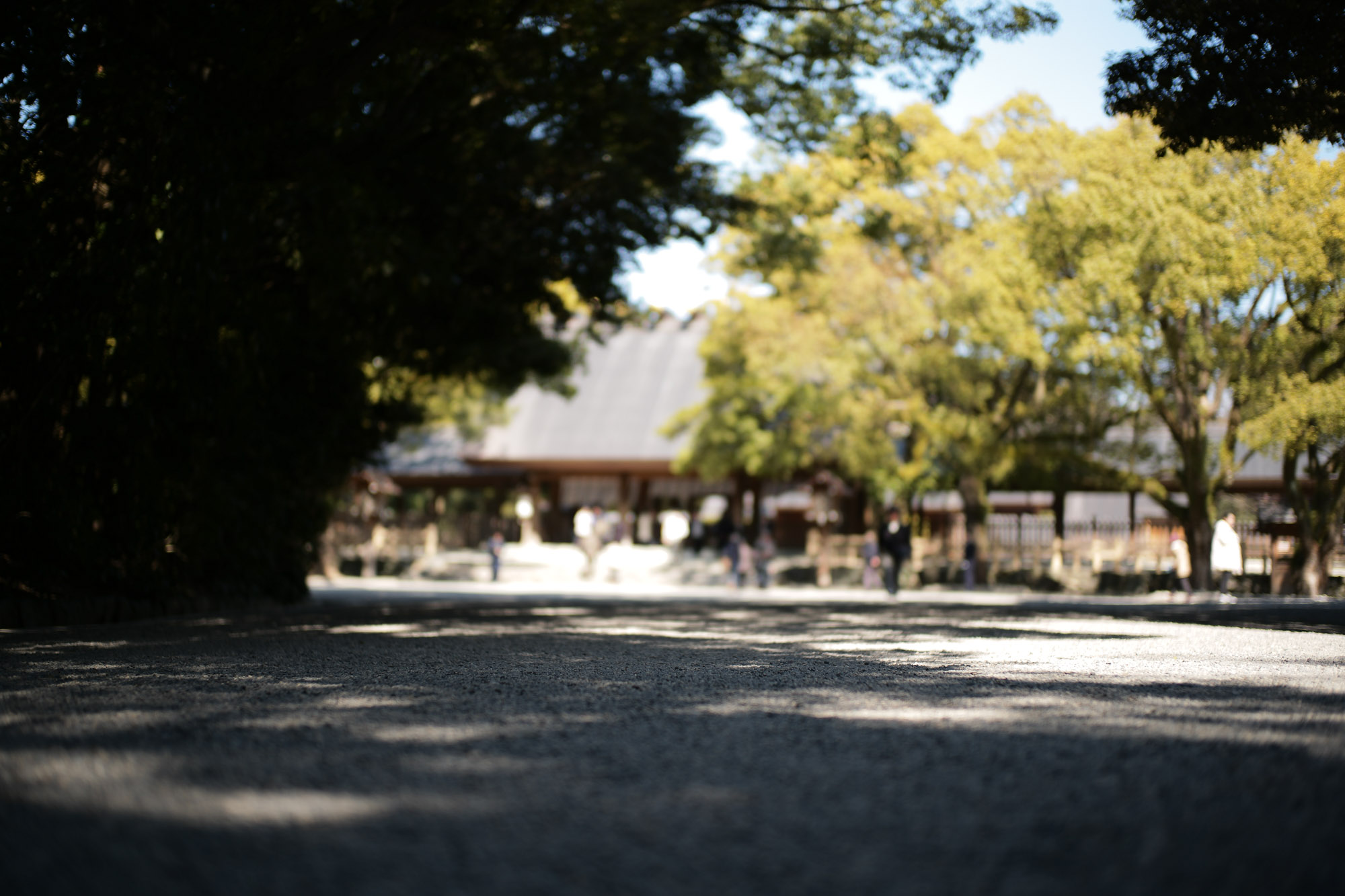 ATSUTA JINGU(熱田神宮) ///【LEICA M10 + SUMMILUX-M F1.4/50mm ASPH】 ライカM10作例 作例  愛知 名古屋 あつたじんぐう ライカM10 ライカM9 ライカM8 ライカMモノクローム leicam9 leicam8 leicamonochrom summilux ズミルックス ズミルクス