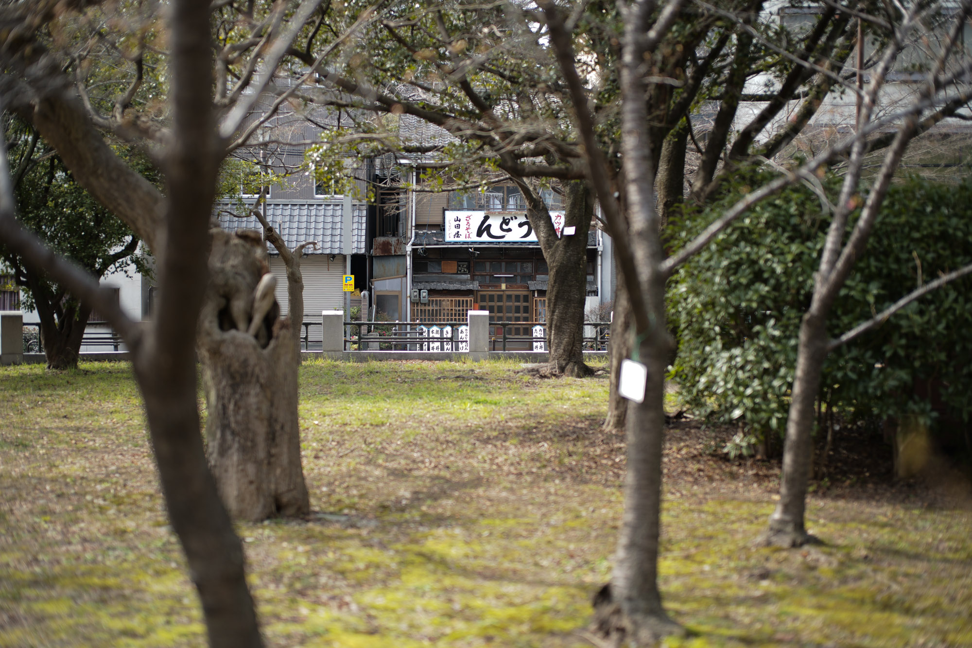 New Camera 愛知 名古屋 LEICA ライカ LEICA M10 ライカM10 SUMMILUX F1.4 50mm ズミルックス レンジファインダー フィルム デジタル ライカ名古屋 松坂屋 LEICA M10 + SUMMILUX-M F1.4/50mm ASPH