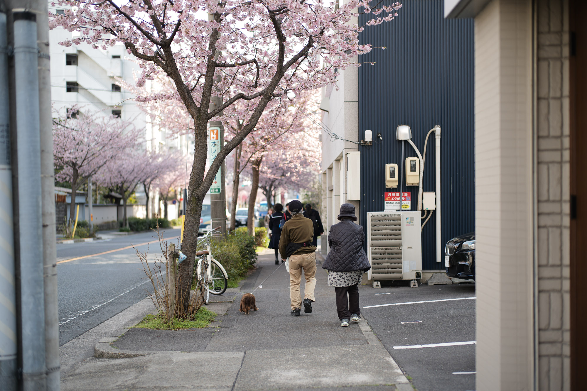 2017.3/20-3/26  ///【LEICA M10 + SUMMILUX-M F1.4/50mm ASPH】 ライカM10 leicam10 ライカ leica 愛知 名古屋 東区泉 ズミルックス ズミルックス50 作例 ライカ松坂屋 THE NORTH FACE ノースフェイス FANTASTICMAN ファンタスティックマン ALESSANDRO GHERARDI 東区 桜並木 作例  ブロッサム ISAIA イザイア SAILOR セイラー アレッサンドロゲラルディ タクシー TAXI 松坂屋 CHROMEHEARTS クロムハーツ スズメ WORN FREE ウォーンフリー JOE STRUMMER LONDON　ジョーストラマー バンドTシャツ BILLWALLLEATHER ビルウォールレザー