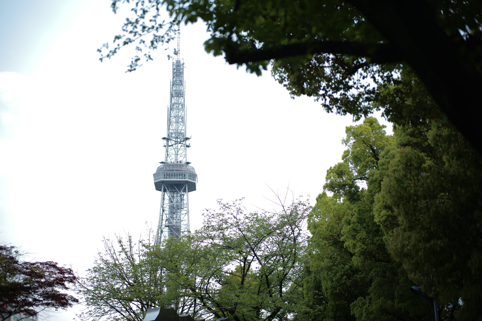 2017.4/24-4/30  ///【LEICA M10 + SUMMILUX-M F1.4/50mm ASPH , SUMMARON-M F5.6/28mm】作例 ブログ ライカM10 写真 leicam10 ライカ leica 愛知 名古屋 ズマロン zodiac individualizedshirts 影 桜通り エスカレーター パナソニック water cafe&barperms 鯉 cuervoromeo derringer starbucks 名駅 名古屋駅 新幹線 グリーン車 newshowroom light greeeen greeeeeeeen 目黒銀座 坂 目黒銀座二番街 fantasticman10k fantasticman18k woolrichexhibition 都会 woolrich ズミルックスの実力 leica leica&taxi&bentley ライカ ライカ銀座店 leicamptitaniumset customercare ギャラリー ライカプロフェッショナルストア東京 銀座 マリオカート 大名古屋ビルヂング ズミクロン35 ハナミズキ isaia 名古屋テレビ塔 シーソーズ モノクロ