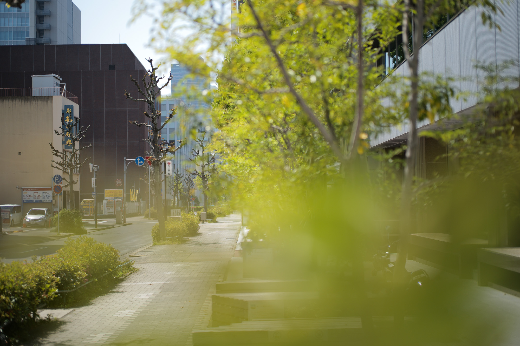 2017.4/24-4/30  ///【LEICA M10 + SUMMILUX-M F1.4/50mm ASPH , SUMMARON-M F5.6/28mm】作例 ブログ ライカM10 写真 leicam10 ライカ leica 愛知 名古屋 ズマロン zodiac individualizedshirts 影 桜通り エスカレーター パナソニック water cafe&barperms 鯉 cuervoromeo derringer starbucks 名駅 名古屋駅 新幹線 グリーン車 newshowroom light greeeen greeeeeeeen 目黒銀座 坂 目黒銀座二番街 fantasticman10k fantasticman18k woolrichexhibition 都会 woolrich ズミルックスの実力 leica leica&taxi&bentley ライカ ライカ銀座店 leicamptitaniumset customercare ギャラリー ライカプロフェッショナルストア東京 銀座 マリオカート 大名古屋ビルヂング ズミクロン35 ハナミズキ isaia 名古屋テレビ塔 シーソーズ モノクロ