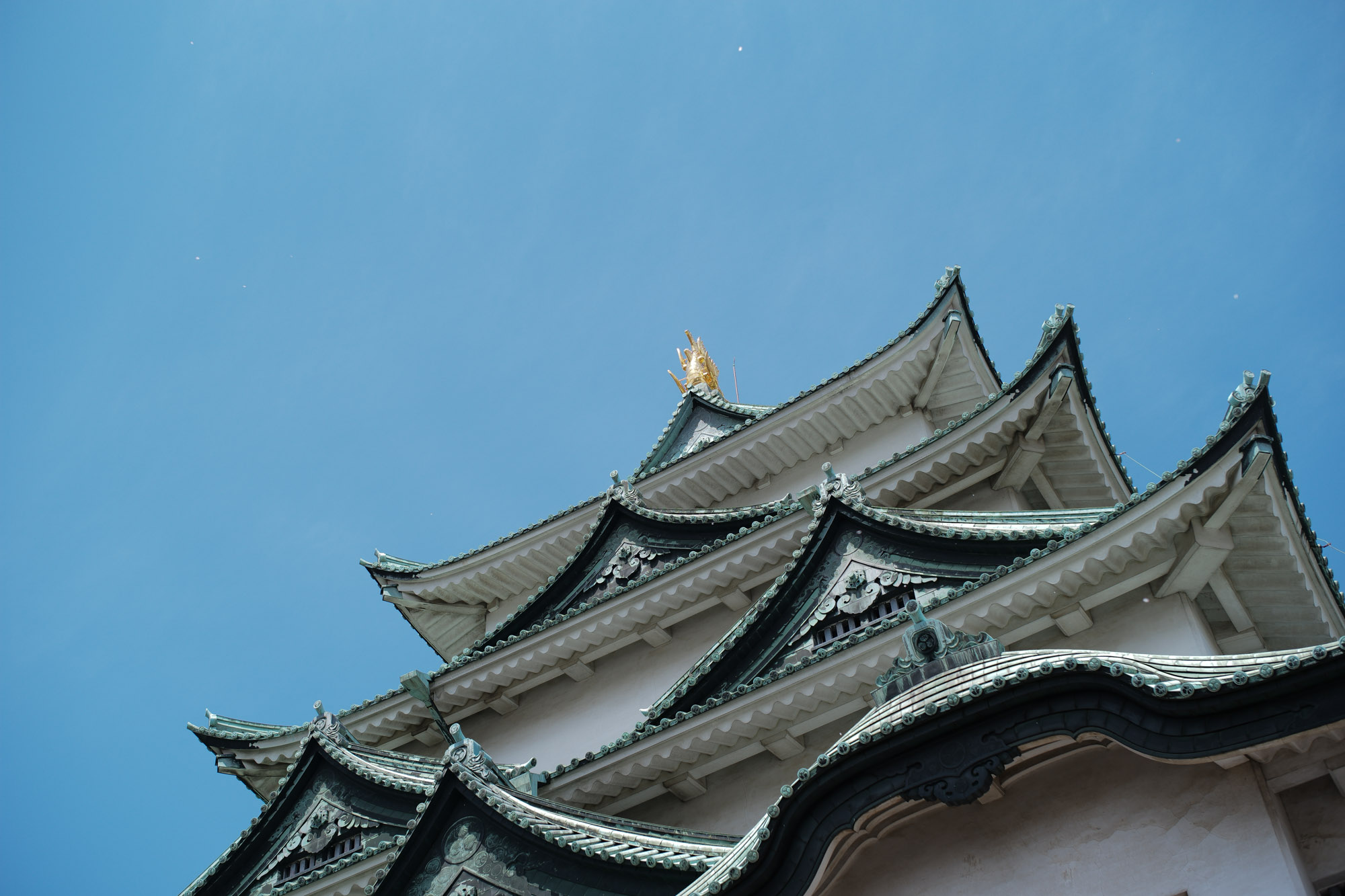 Nagoya castle and cherry blossoms(名古屋城と桜) ///【LEICA M10 + SUMMILUX-M F1.4/50mm ASPH】 ライカM10作例 作例  ブログ 愛知 名古屋 本丸 Cherry Blossoms 桜 さくら サクラ cherry bloosumなごやじょう ライカM10 ライカM9 ライカM8 ライカMモノクローム leicam10 leicam9 leicam8 leicamonochrom summilux ズミルックス ズミルクス