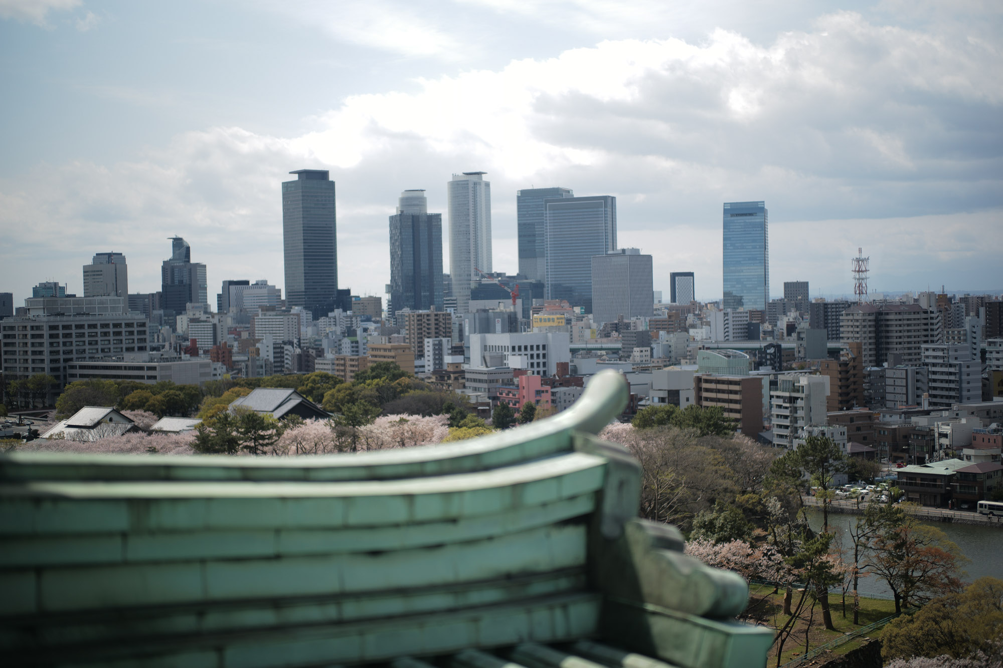 Nagoya castle and cherry blossoms(名古屋城と桜) ///【LEICA M10 + SUMMILUX-M F1.4/50mm ASPH】 ライカM10作例 作例  ブログ 愛知 名古屋 本丸 Cherry Blossoms 桜 さくら サクラ cherry bloosumなごやじょう ライカM10 ライカM9 ライカM8 ライカMモノクローム leicam10 leicam9 leicam8 leicamonochrom summilux ズミルックス ズミルクス