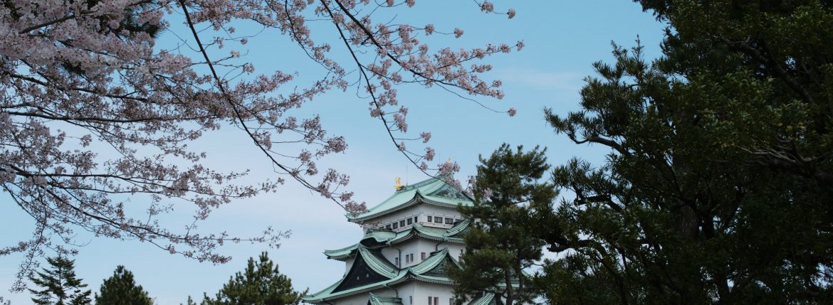 Nagoya castle and cherry blossoms(名古屋城と桜) ///【LEICA M10 + SUMMILUX-M F1.4/50mm ASPH】 ライカM10作例 作例 ブログ 愛知 名古屋 本丸 Cherry Blossoms 桜 さくら サクラ cherry bloosumなごやじょう ライカM10 ライカM9 ライカM8 ライカMモノクローム leicam10 leicam9 leicam8 leicamonochrom summilux ズミルックス ズミルクス