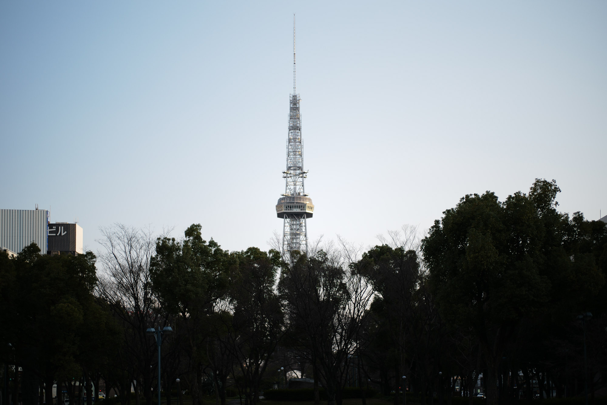 2017.3/27-4/02  ///【LEICA M10 + SUMMILUX-M F1.4/50mm ASPH , SUMMICRON F2/35mm 第2世代 1970年製】ライカM10 leicam10 ライカ leica 愛知 名古屋 東区泉 ズミルックス ズミルックス50 作例 菜の花 久屋大通公園 名古屋テレビ塔 クリアガラス nagoyaTVtower 桜 桜通り cherryblossoms リバーパークaudi 松屋カメラ OPEN 今池 Thankyou vintage ヴィンテージ フィルムライカ billwallleather ビルウォールレザー sky 空 影 第2世代の実力