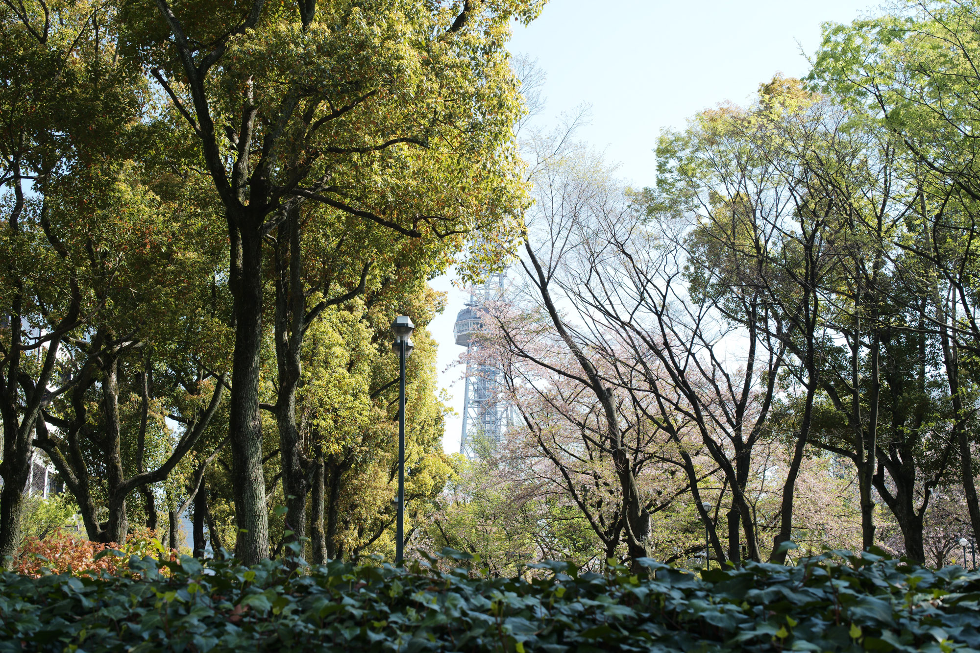 2017.4/10-4/16  ///【LEICA M10 + SUMMILUX-M F1.4/50mm ASPH】 作例 ブログ ライカM10 写真 leicam10 ライカ leica 愛知 名古屋 名古屋城 nagoyacastle Parking ブリリアントレッド white'sboots daikin nike billwallleather billwall bwltm standard36 billwallnewpattern2017 incotex 空 久屋大通公園 nagoyatvtower モノクロ 桜通り