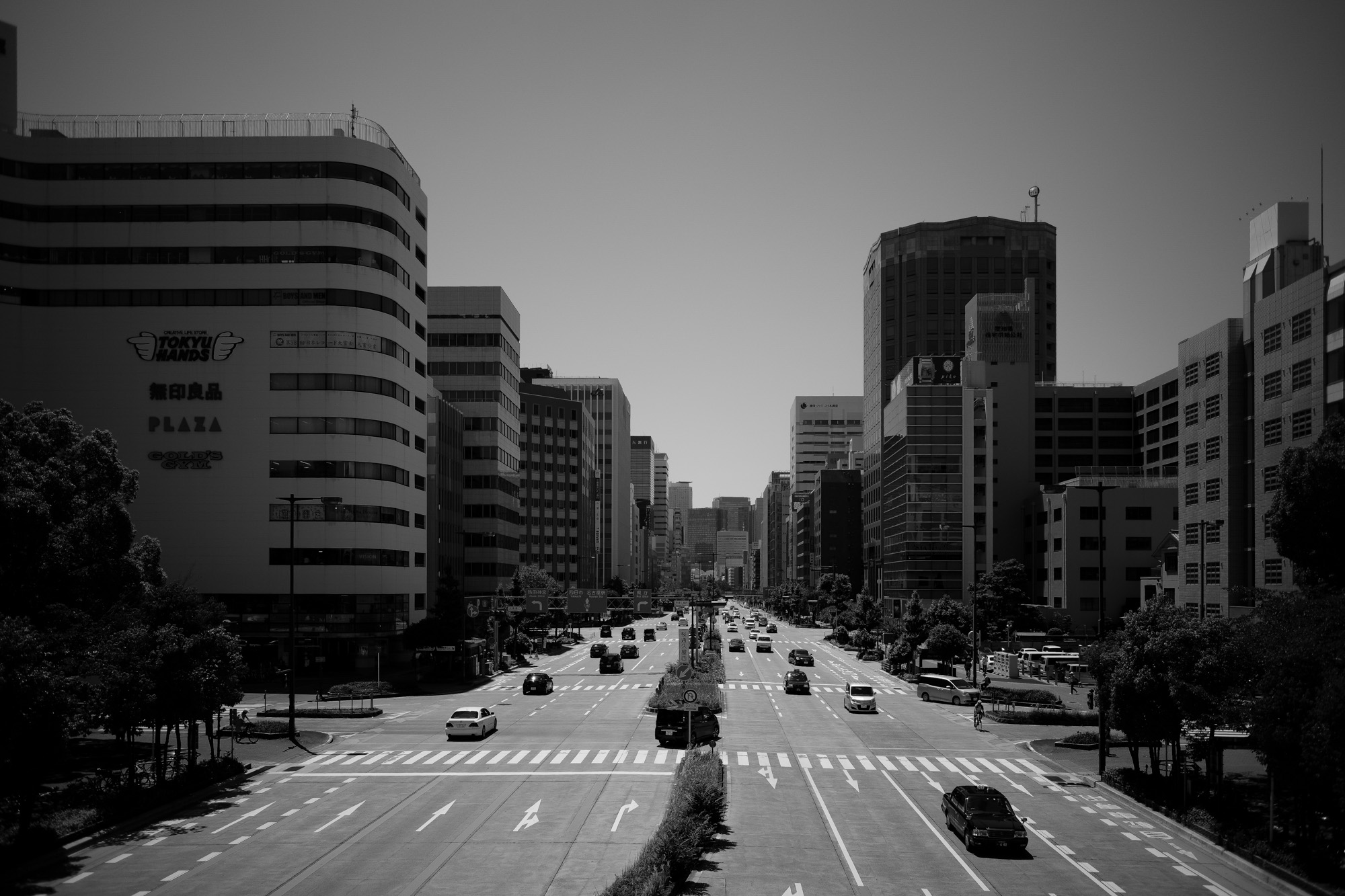 【LEICA M10 + SUMMILUX-M F1.4/50mm ASPH , SUMMARON-M F5.6/28mm , SUMMICRON F2/35mm 第2世代 1970年製】作例 ブログ ライカM10 写真 leicam10 ライカ leica 愛知 名古屋 ズマロン garden ユッカロストラータ 桜通り 名古屋駅 新幹線ホーム 新幹線 グリーン車 tokyotower 港区 とんかつ まい泉 ヒレカツ テーブル ライト minatoward enoちゃん そば まい泉通り borriello ボリエッロ 2018春夏 プレ展示会 スミズーラ borrielloオーダー会 entreamis kotaroshindoさん gabrielepasiniさん supreme thankyou starbucks ラテ ある日 ドライフラワー whitesboots ホワイツブーツ モノクロプリント 白黒プリント 社長 松屋カメラ ビンテージウォッチ zodiac nagoyatvtower 名古屋テレビ塔 桜通り でら桜通り jstnagoyahawaiifestival2017 ハワイフェスティバル 久屋大通公園