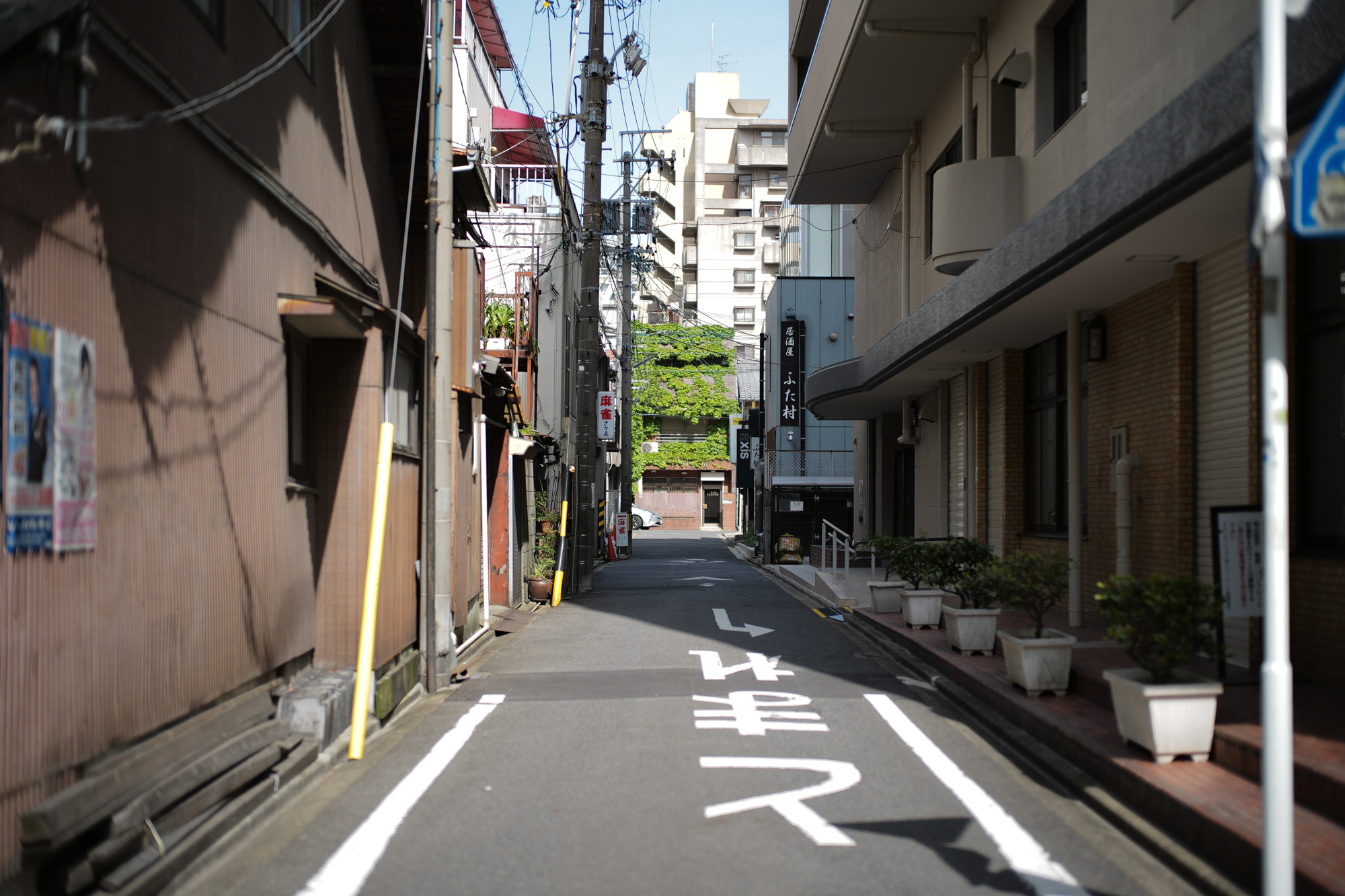 2017.5/01-5/07  ///【LEICA M10 + SUMMILUX-M F1.4/50mm ASPH】 作例 ブログ ライカM10 写真 leicam10 ライカ leica 愛知 名古屋 泉一丁目 marutenrawjus 紅ホッペ ジャックマリーマージュ zodiac ショーウィンド protag nagoyatvtower 1dx jamesgrose green 名古屋テレビ塔 genta 大丸松坂屋限定モデル ヒレかつサンド とんかつまい泉 コロッケ 神戸コロッケ ferrari セントラルパーク駐車場 choco チョコ j&mdavidson ジェイアンドエムデヴィッドソン garden 薔薇 田んぼ tvtower enzobonafe leicaトランプ