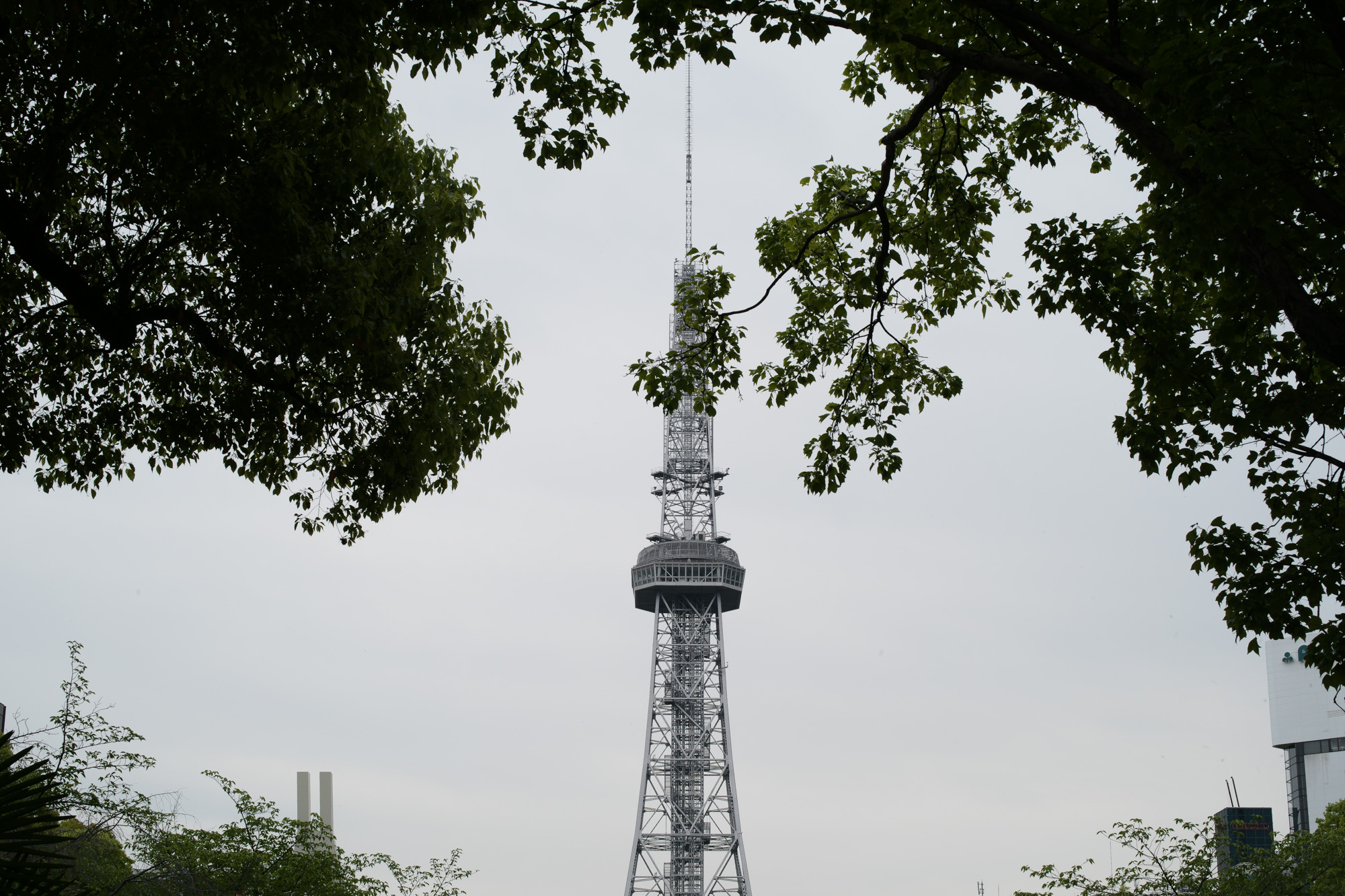 <img src="https://www.altoediritto.com/wp-content/uploads/2017/05/leica-summilux50-leicam10-zodiac-nagoya-20170502-8-1.jpg" alt="2017.5/01-5/07  ///【LEICA M10 + SUMMILUX-M F1.4/50mm ASPH】 作例 ブログ ライカM10 写真 leicam10 ライカ leica 愛知 名古屋 泉一丁目 marutenrawjus 紅ホッペ ジャックマリーマージュ zodiac ショーウィンド protag nagoyatvtower 1dx jamesgrose green 名古屋テレビ塔 genta 大丸松坂屋限定モデル ヒレかつサンド とんかつまい泉 コロッケ 神戸コロッケ ferrari セントラルパーク駐車場 choco チョコ j&mdavidson ジェイアンドエムデヴィッドソン garden 薔薇 田んぼ tvtower enzobonafe leicaトランプ" width="2000" height="1333" class="alignnone size-full wp-image-18514" />