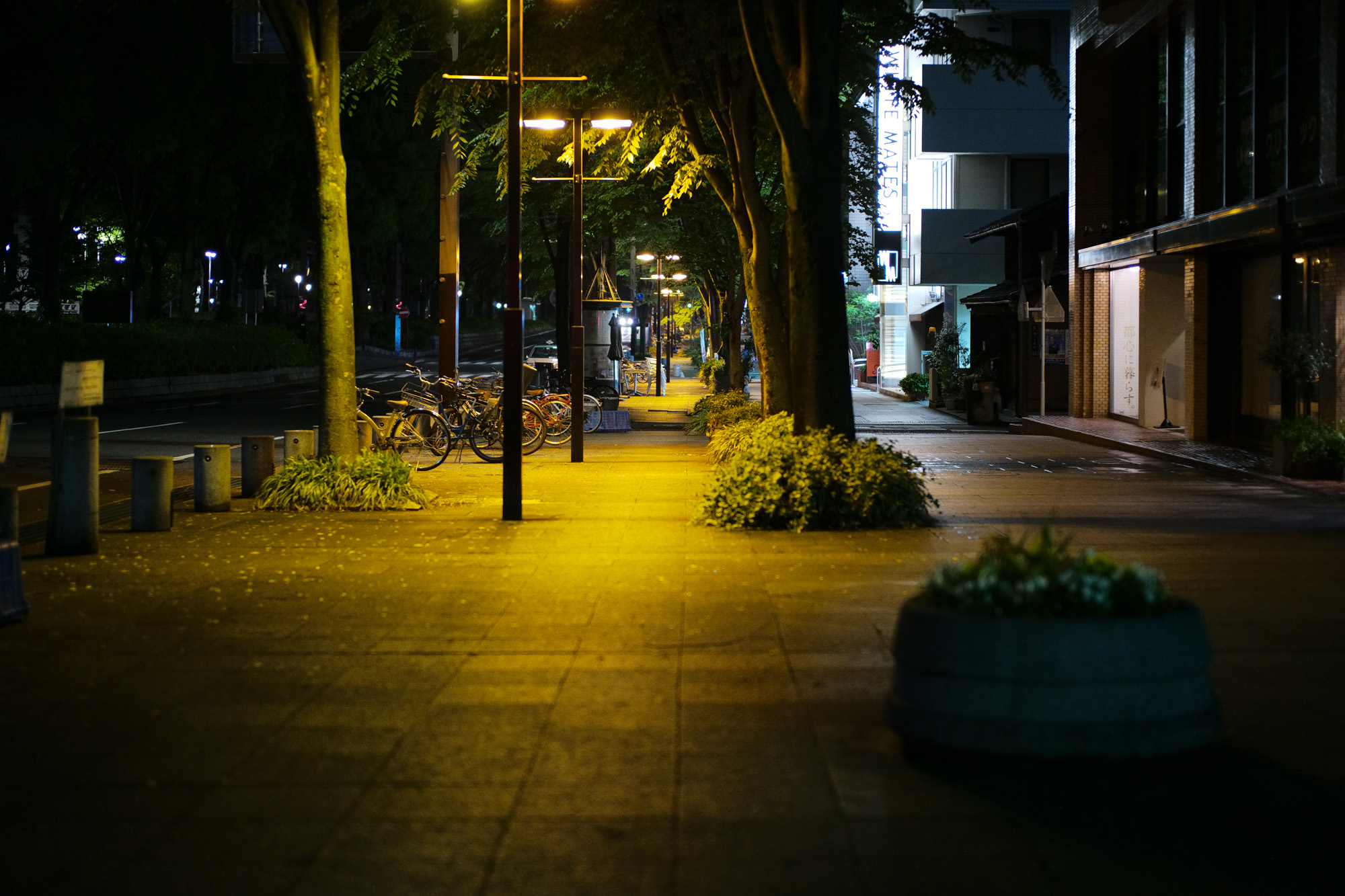 2017.5/08-5/14  ///【LEICA M10 + SUMMILUX-M F1.4/50mm ASPH , SUMMARON-M F5.6/28mm】 作例 ブログ ライカM10 写真 leicam10 ライカ leica 愛知 名古屋 ズマロン ズミルックス miniaturedachshund juttaneumann jamesgrose enzobonafe leicam julianboots moorer coinloafer nagoyatvtower エスカレーター 大石 そば すき焼きうどん 親子丼 ジュリアンブーツ ドレスウォッチメーカー サウスパラディソ ファンタスティックマン ジェドシルバースミス j&mdavidson me 東区泉 southparadiso smoke winchester illuminatirainbowshirts 愛知県芸術文化センター aichiartcenter モノクロ ズマロン28mm オアシス21 名古屋テレビ塔 栄ミナミ音楽祭