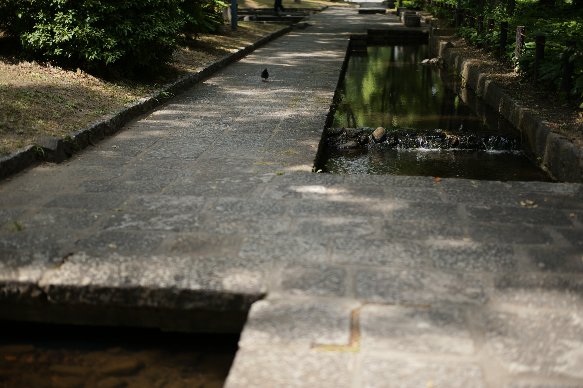 2017.5/15-5/21  ///【LEICA M10 + SUMMILUX-M F1.4/50mm ASPH , SUMMARON-M F5.6/28mm , SUMMICRON F2/35mm 第2世代 1970年製】作例 ブログ ライカM10 写真 leicam10 ライカ leica 愛知 名古屋 ズマロン ズミルックス ズミクロン タクシー leica松坂屋 ライカ松坂屋名古屋 ライカレンズ 結局レンズ沼 building dolce&gabbanna louisvutton つけ麺 ヨツワヤ zodiac ソーシーズ saucisses individualizedshirts 洋服屋 ユッカロストラータ 桜通り夜 バンドtee ウニタ書店 松屋カメラ matsuyacamera ロケ撮影 モデル撮影 audia5 久屋大通公園 休憩 ぽっぽ 名古屋テレビ塔