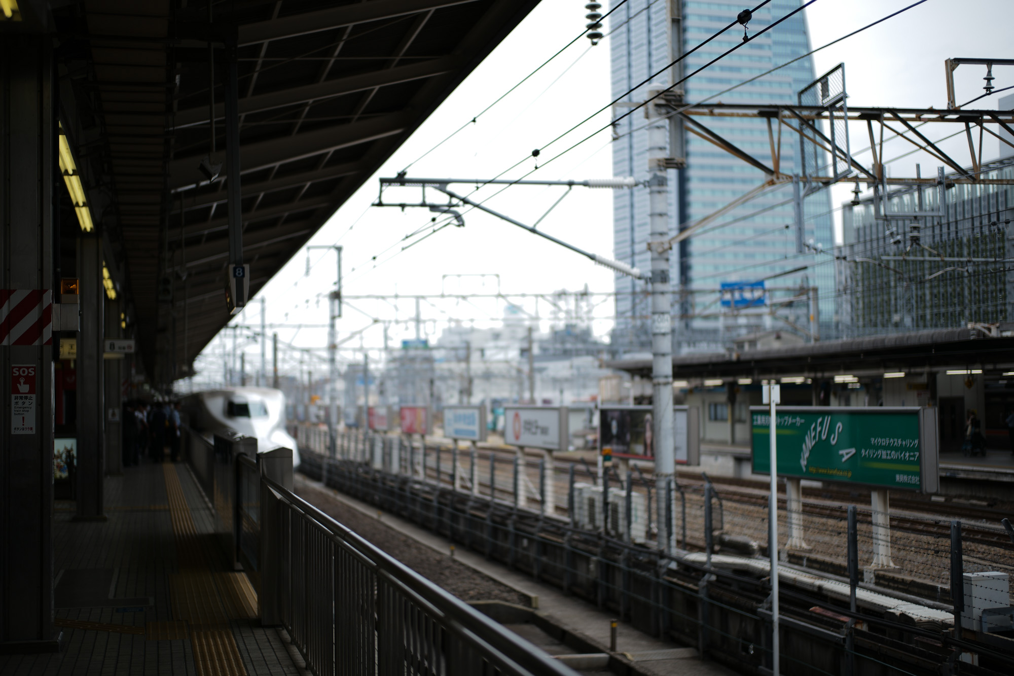 2017.5/22-5/28  ///【LEICA M10 + SUMMILUX-M F1.4/50mm ASPH , SUMMARON-M F5.6/28mm , SUMMICRON F2/35mm 第2世代 1970年製】作例 ブログ ライカM10 写真 leicam10 ライカ leica 愛知 名古屋 ズマロン garden ユッカロストラータ 桜通り 名古屋駅 新幹線ホーム 新幹線 グリーン車 tokyotower 港区 とんかつ まい泉 ヒレカツ テーブル ライト minatoward enoちゃん そば まい泉通り borriello ボリエッロ 2018春夏 プレ展示会 スミズーラ borrielloオーダー会 entreamis kotaroshindoさん gabrielepasiniさん supreme thankyou starbucks ラテ ある日 ドライフラワー whitesboots ホワイツブーツ モノクロプリント 白黒プリント 社長 松屋カメラ ビンテージウォッチ zodiac nagoyatvtower 名古屋テレビ塔 桜通り でら桜通り jstnagoyahawaiifestival2017 ハワイフェスティバル 久屋大通公園