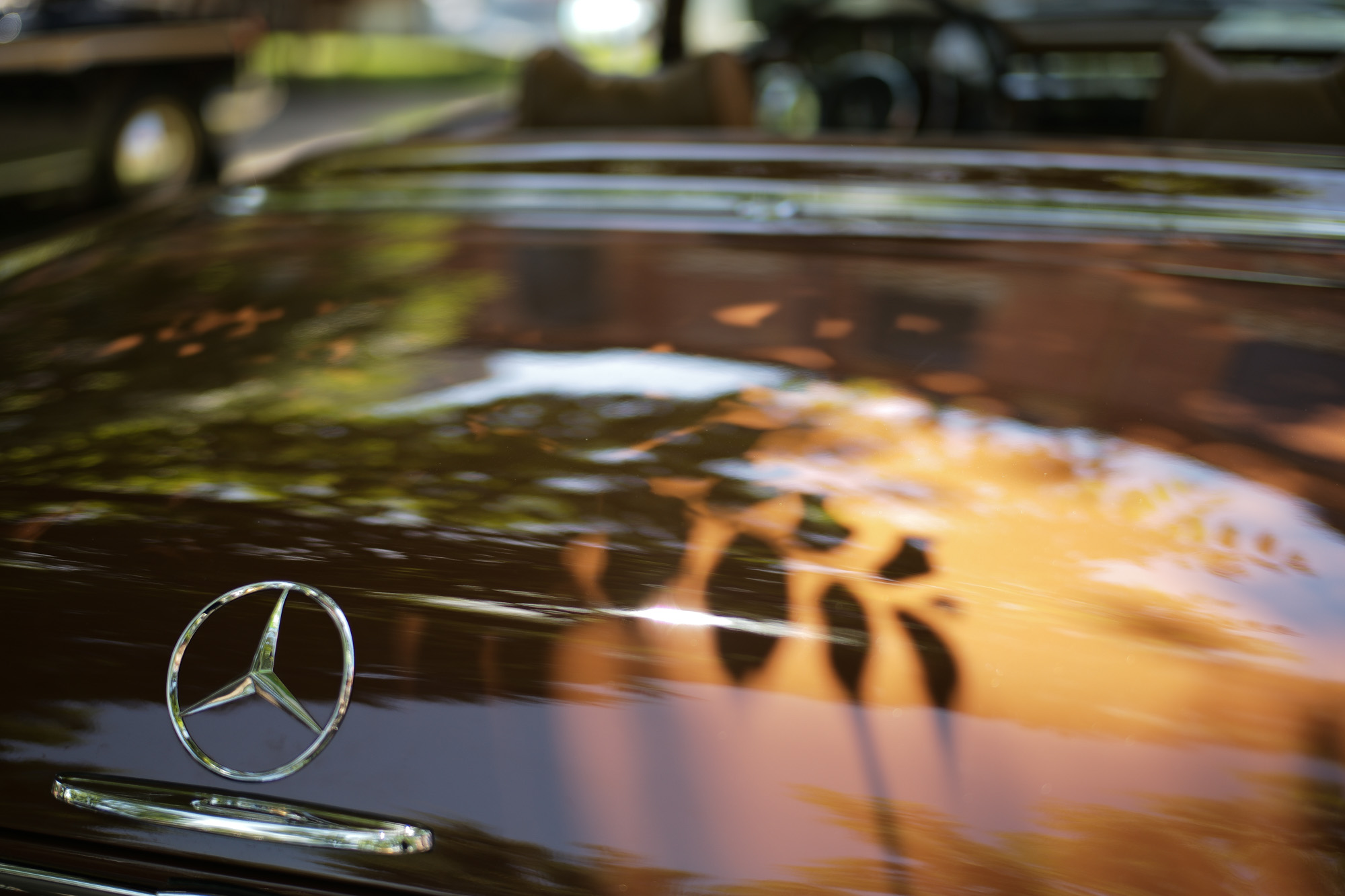 CLASSIC CAR FESTIVAL , GREEN GRASS CLASSIC CAR MATE , ノリタケの森 ///【LEICA M10 + SUMMILUX-M F1.4/50mm ASPH】　 ライカM10作例 作例  ブログ 愛知 名古屋 第5回 ノリタケの森 クラシックカーフェスティバル グリーングラス クラシックカーメイト ライカM10 ライカM9 ライカM8 ライカMモノクローム leicam10 leicam9 leicam8 leicamonochrom summilux ズミルックス ズミルクス