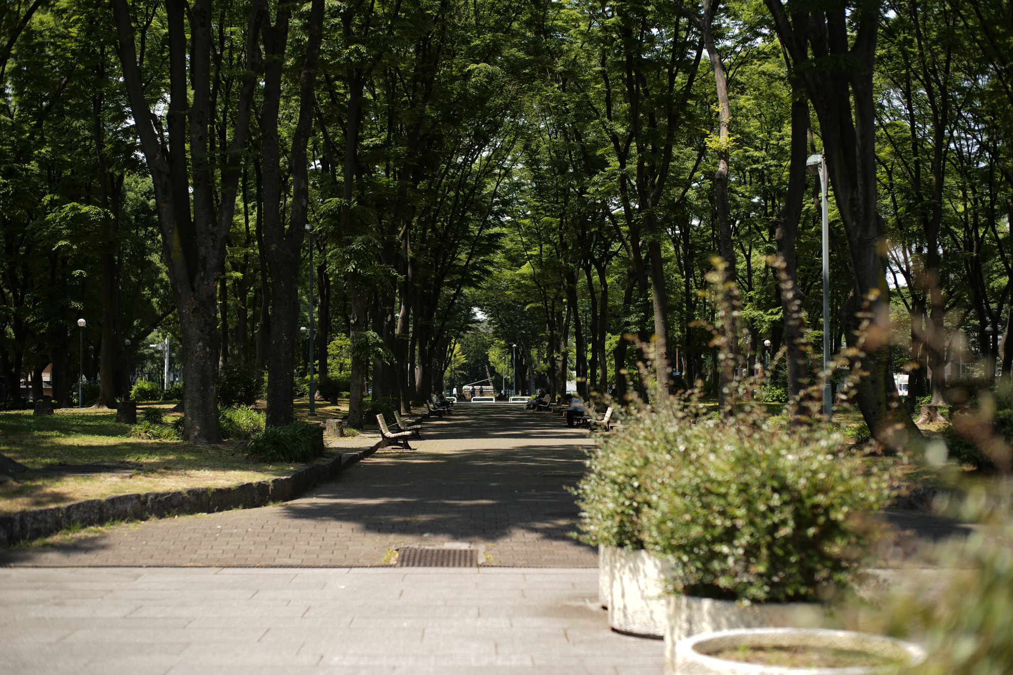 2017.5/29-6/04  ///【LEICA M10 + SUMMILUX-M F1.4/50mm ASPH】 作例 ブログ ライカM10 写真 leicam10 ライカ leica 愛知 名古屋 ズミルックス summilux