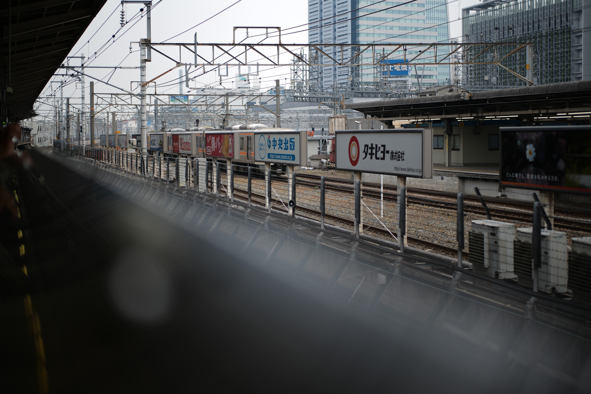 2017.5/29-6/04  ///【LEICA M10 + SUMMILUX-M F1.4/50mm ASPH】 作例 ブログ ライカM10 写真 leicam10 ライカ leica 愛知 名古屋 ズミルックス summilux