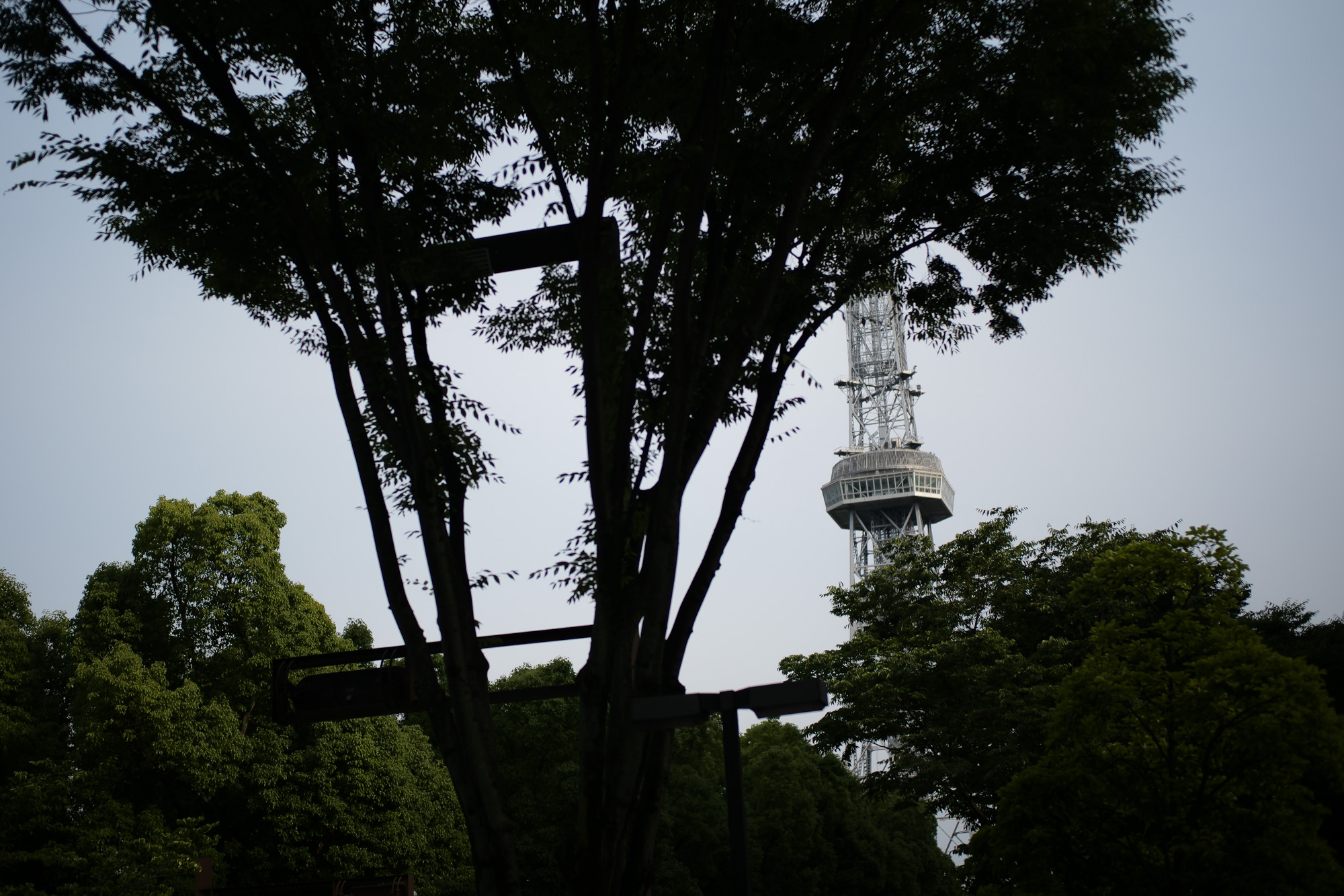 2017.6/12-6/18  ///【LEICA M10 + SUMMILUX-M F1.4/50mm ASPH】 作例 ブログ ライカM10 写真 leicam10 ライカ leica 愛知 名古屋 ズミルックス summilux 名古屋テレビ塔 桜通り losangeles zodiac クリアガラス ベージュシート grandfunk dress nagoyatvtower 休憩 一風堂 herno ロケ撮影 southparadiso illuminatirainbowshirts audia5 サウスパラディソレザー adler ブリリアントレッド cuervo デリンジャー 緑 sausage julianboots derringer