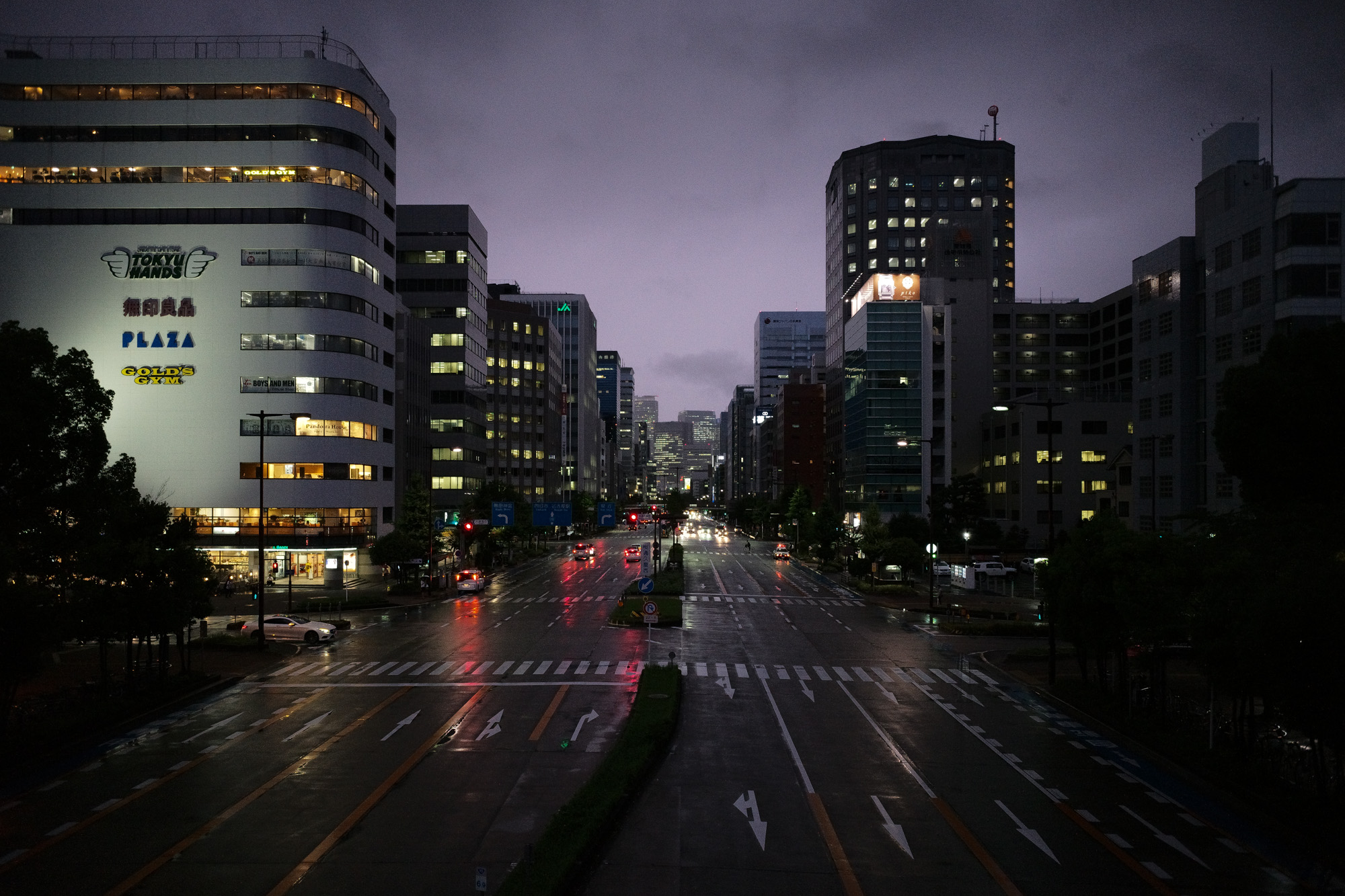 2017.7/03-7/09  ///【LEICA M10 + SUMMILUX-M F1.4/50mm ASPH】 作例 ブログ ライカM10 写真 leicam10 ライカ leica 愛知 名古屋 ズミルックス summilux チャッカブーツ ジョッパーブーツ キャノンサービスセンター名古屋 haraさん kトラ enzobonafe cordovanno4 ライト コードバンno4 サウスパラディソ 額縁 桜通り スターバックス starbucks 新幹線 グリーン車 8号車 絨毯 wedge boglioli ボリオリ moorer ムーレー laurelwreath cocacola rafsimons ralphlauren sendagaya3 品川 富士山 family 愛犬 pt01 pt chino slacks pt05 denim アンティークテーブル shoesコーナー individualizedshirts 名古屋テレビ塔