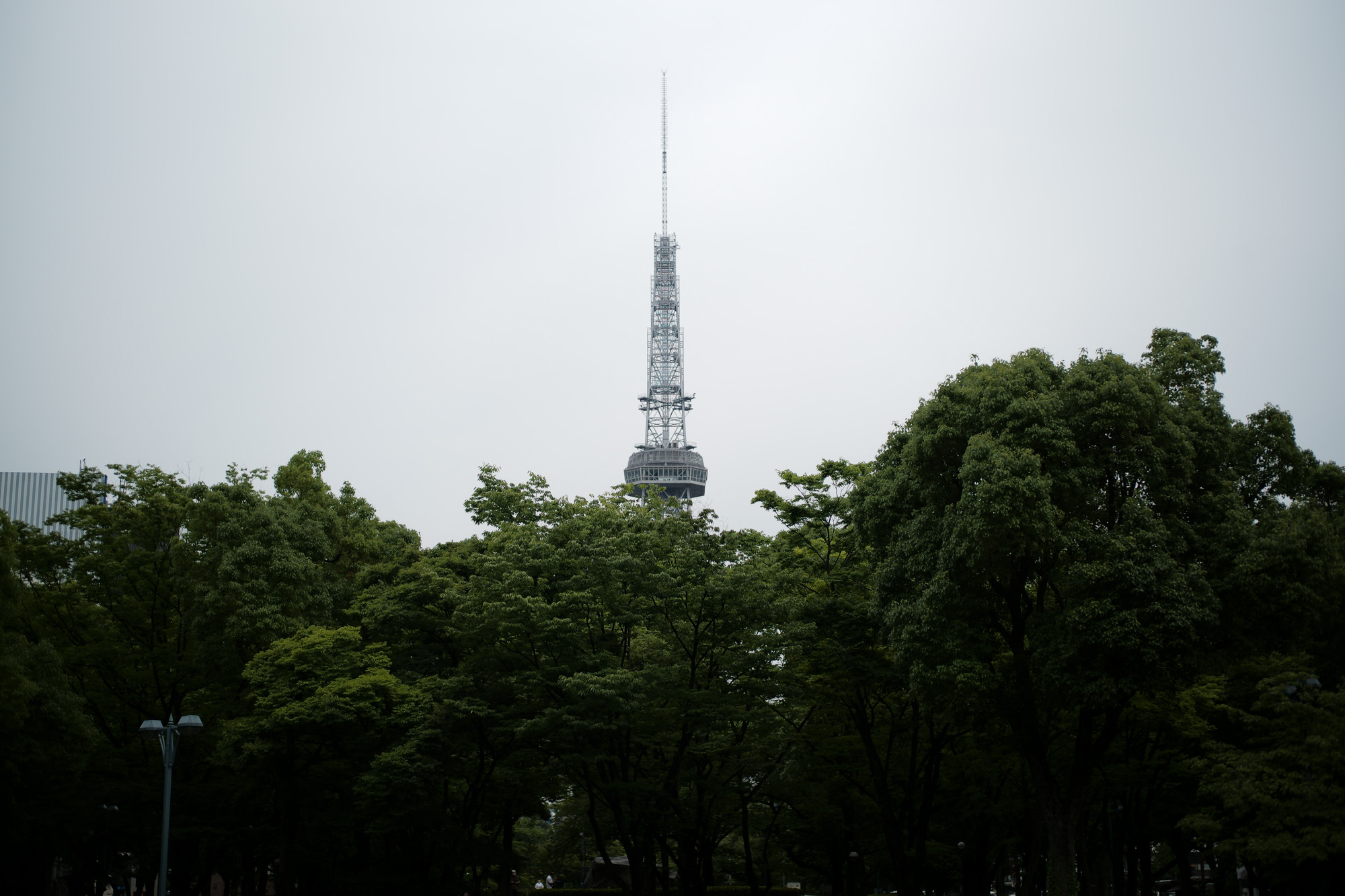 2017.7/03-7/09  ///【LEICA M10 + SUMMILUX-M F1.4/50mm ASPH】 作例 ブログ ライカM10 写真 leicam10 ライカ leica 愛知 名古屋 ズミルックス summilux チャッカブーツ ジョッパーブーツ キャノンサービスセンター名古屋 haraさん kトラ enzobonafe cordovanno4 ライト コードバンno4 サウスパラディソ 額縁 桜通り スターバックス starbucks 新幹線 グリーン車 8号車 絨毯 wedge boglioli ボリオリ moorer ムーレー laurelwreath cocacola rafsimons ralphlauren sendagaya3 品川 富士山 family 愛犬 pt01 pt chino slacks pt05 denim アンティークテーブル shoesコーナー individualizedshirts 名古屋テレビ塔