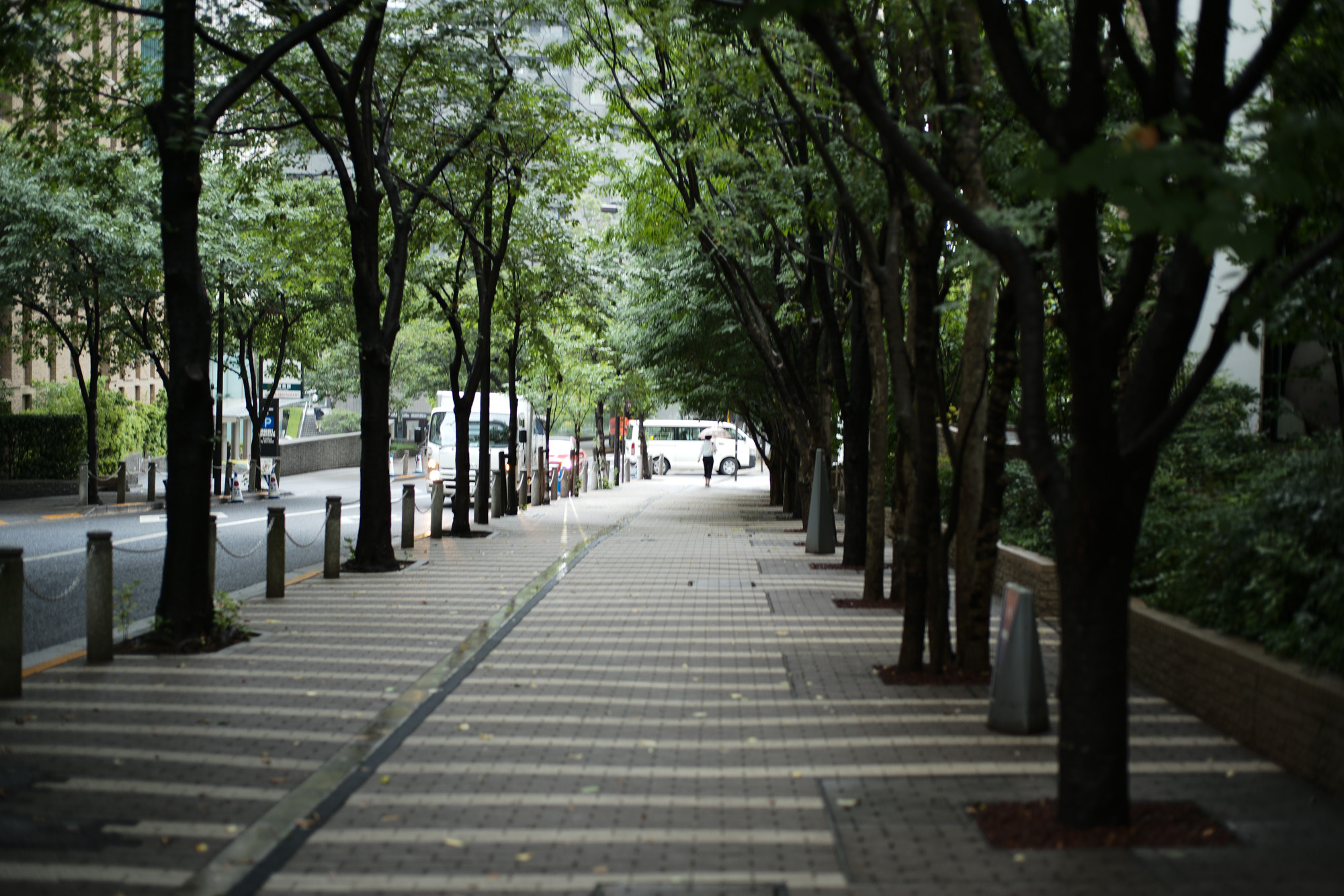 2017.7/24-7/30  ///【LEICA M10 + SUMMILUX-M F1.4/50mm ASPH】作例 ブログ ライカM10 写真 leicam10 ライカ leica 愛知 名古屋 ズミルックス summilux 桜通り bridge taxi louisvuitton 8号車 有刺鉄線 グリーン車 浜名湖 rake hamanako cocacola 六本木 雨の日 クロコダイル 表参道 nigelcabourn timex アンティーク 目黒川 チョコ ジェームスハイザー j&mdavidson settefilicashmere cinquanta 2018sscollection チンクアンタ gransasso フェランテ ミニチュアダックス incotexslacks インコテックスラックス invertere burntorange インバーティア navy ロケ撮影 モデル撮影 涼しいと思えば涼しいんだ 人気目線シリーズ newrangerovervelar 