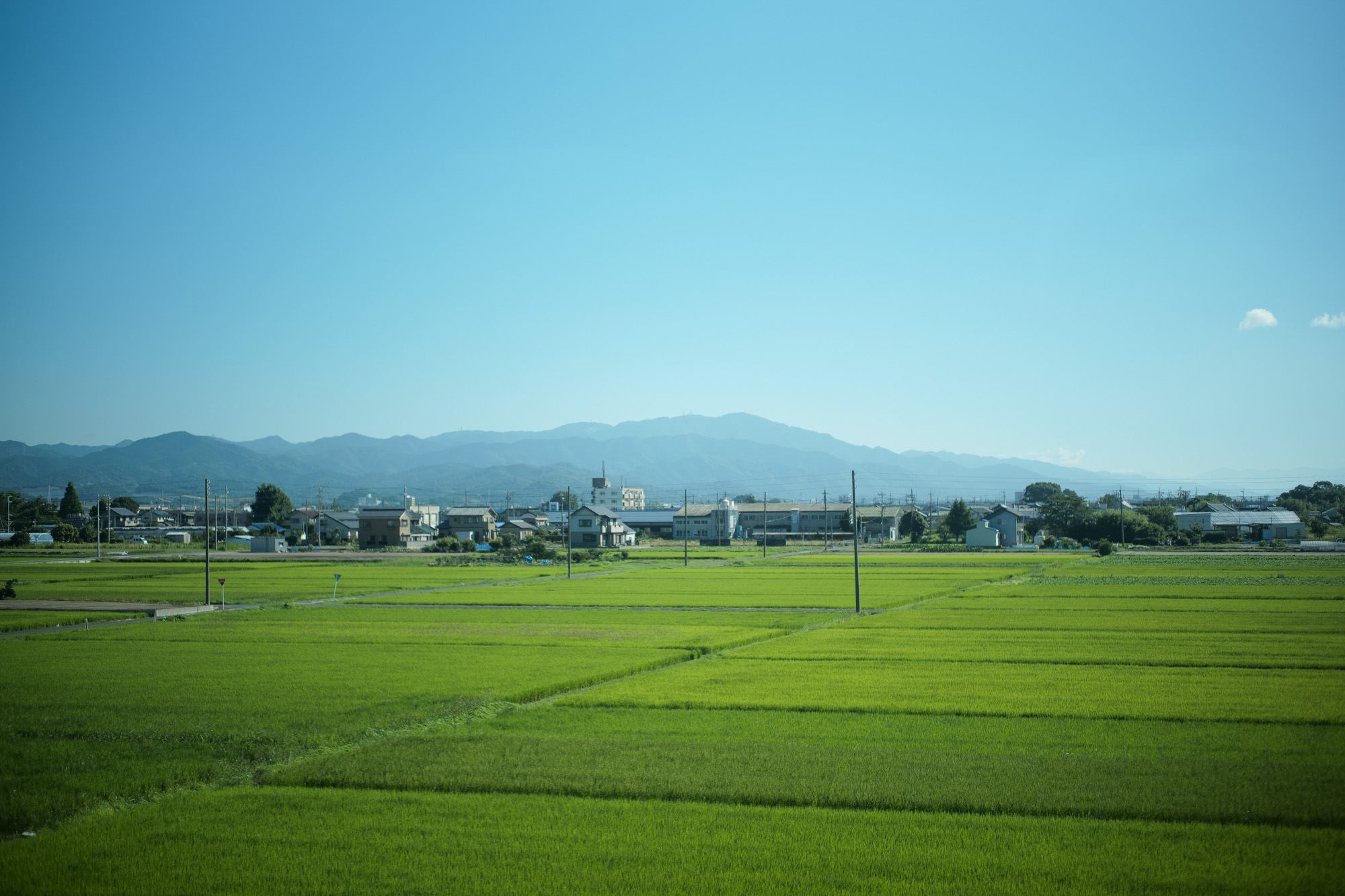 2017.8/07-8/13  ///【LEICA M10 + SUMMILUX-M F1.4/50mm ASPH】 作例 ブログ ライカM10 写真 leicam10 ライカ leica 愛知 名古屋 ズミルックス summilux セレクトショプ Alto e Diritto アルト エ デリット 車窓 新幹線 浜名湖 ボートレース グリーン車 富士山 ジェームスグロース jamesgrose 革ジャン johnsmedley ジョンスメドレー johnsmedleywater swaineadeney スウェインアドニー francobassi フランコバッシ ネクタイ penroselondon ペンローズロンドン holiday&brown ホリデーアンドブラウン simonnotgodard シモノゴダール depetrillo デペトリロ elizabethparker エリザベスパーカー camerucciarchivio カメルッチアキーポ hiroshitsubuchi ヒロシツボウチ alfredberetta アルフレッドベレッタ コンバースワンスター チンクアンタ cinquanta ロケ撮影