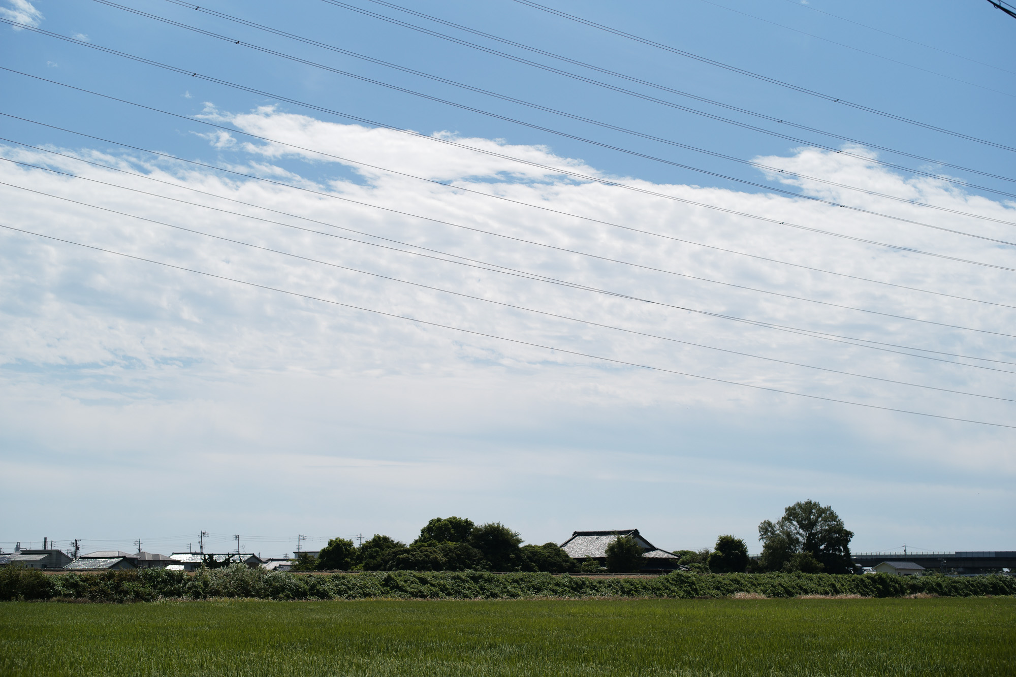 2017.8/28-9/03  ///【LEICA M10 + SUMMILUX-M F1.4/50mm ASPH , SUMMARON-M F5.6/28mm】作例 ブログ ライカM10 写真 leicam10 ライカ leica 愛知 名古屋 ズミルックス summilux cuervo クエルボ derringer デリンジャー cordovan コードバン romeo ロメオ コードヴァン ニューサインボード losangeles poloralphlauren ポロラルフローレン 2018春夏展示会 松屋カメラ matsuyacamera ズミクロン1999年 ズミルックス1999年 真鍮激レアモデル 社長 smile ライカmモノクローム エルマー祭 あーでもこーでも ヴィンテージカメラ leicammonochrom summilux50mmf1.4l クエルボ2018春夏新作 ジャパンミュージアムカーフ ニューゴールド julianboots スーツフェア 田舎 sky 田んぼ 薔薇 オーダー スーツ 10月01日～開催します ザノーネ ズマロン summaronmf5.628mm