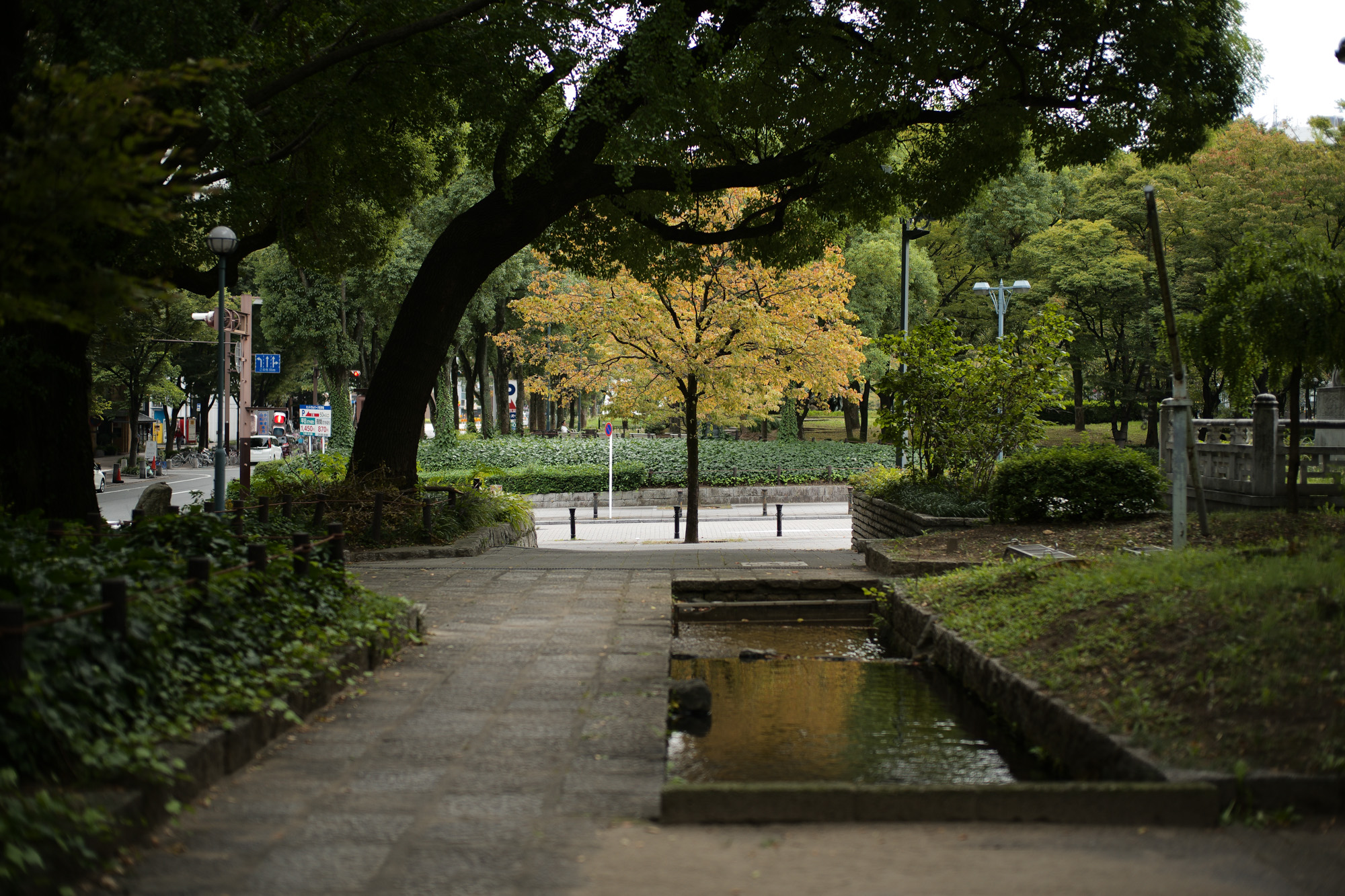 2017.9/25-10/01  ///【LEICA M10 + SUMMILUX-M F1.4/50mm ASPH , SUMMARON-M F5.6/28mm】 Alto e Diritto アルト エ デリット 作例 ブログ ライカM10 写真 leicam10 ライカ leica 愛知 名古屋 ズミルックス summilux audi アウディ tt 新型tt ヨツワヤ richardjbrown incotexcinque cafe&barperms radice ラディーチェ 桜通り 名古屋テレビ塔 でら桜通り ズマロン28mm スーツフェア サウスパラディソレザー アルト エ デリット noji工場長 クロムハーツ22k 秋感 enzobonafe オーダースーツ 10839vintagearvchive d4091160 グレスラとボナフェ boglioli