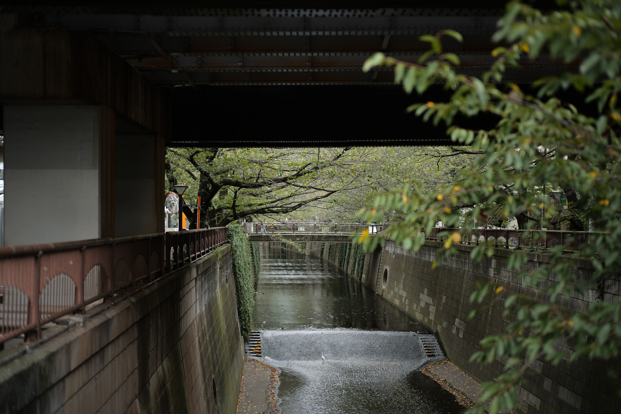 2017.10/02-10/08  ///【LEICA M10 + SUMMILUX-M F1.4/50mm ASPH】 Alto e Diritto 名古屋 作例 ブログ ライカM10 写真 leicam10 ライカ leica 愛知 名古屋 ズミルックス summilux 東海道新幹線 ひととき2017 VANS バンズ canopy arcticexplorer madebysevenreuse メイドバイセブンリユース twemco 目黒川 rifare 恵比寿でランチ gowest 激レアステッカー sasa nappacetara ナッパレザー emmeti エンメティ juri jamesgrose ジェームスグロース 2018秋冬別注打ち合わせ rangerover レンジローバー 満月 htc エイチティーシー 1977johnlennon 1978johnlennon 1967frankzappa 1990kurtcobain 1991kurtcobain april1975johnlennon 1978joanjett 1979davidgilmour 1994kurtcobain 1980debbieharry 1977johnlennon 1980johnlennon 1966johnlennon stefanoricci ステファノリッチ マニラジャケット socialtowermarket haraさん ソーシャルタワー chidaくん herno ヘルノ カシミア incotex マルゲリータ