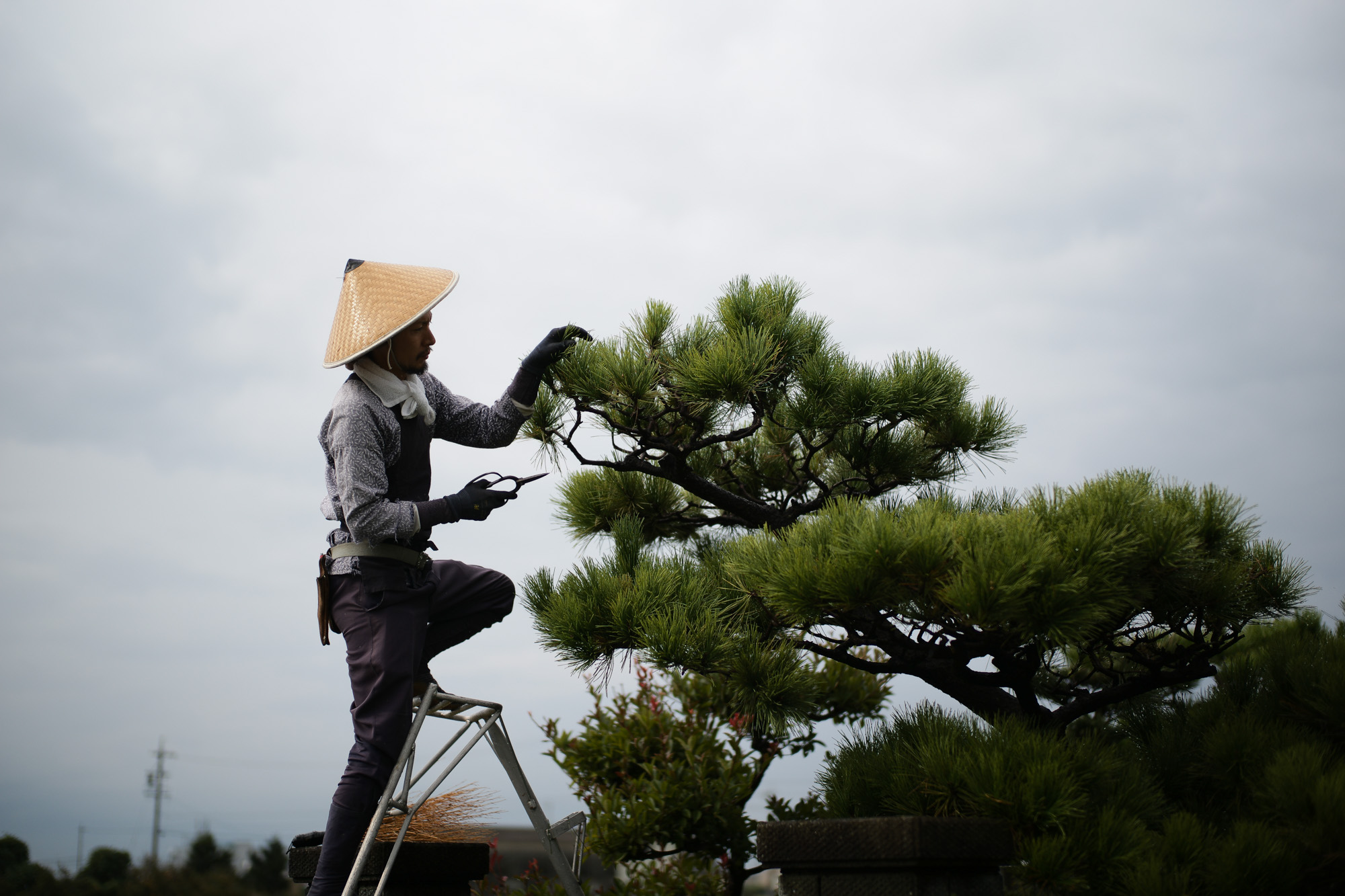 2017.10/09-10/22  ///【LEICA M10 + SUMMILUX-M F1.4/50mm ASPH】 作例 ブログ ライカM10 写真 leicam10 ライカ leica 愛知 名古屋 ズミルックス summilux enzobonafe boglioli gabrielepasini ガブリエレパジーニ isaia woolrich cruciani wh 干場スペシャル ダブルモンク 庭師 moorer 東区泉 名古屋テレビ塔 イザイアネクタイ enzobonafe×hiroshitsubouchi×zodiac j&mdavidson ジェイアンドエムデヴィッドソン ミュージアムカーフ ノルベージェ製法 1dx jmdavidson doublemonkstrapshoes pewter エンツォボナフェ 実店舗 プレーントゥ ダブルエイチ hoshibaspecial スーツフェア オーダースーツ jmスタッズベルト jmスタッズウォレット ジャックマリーマージュ zanone herno ペルシャ絨毯