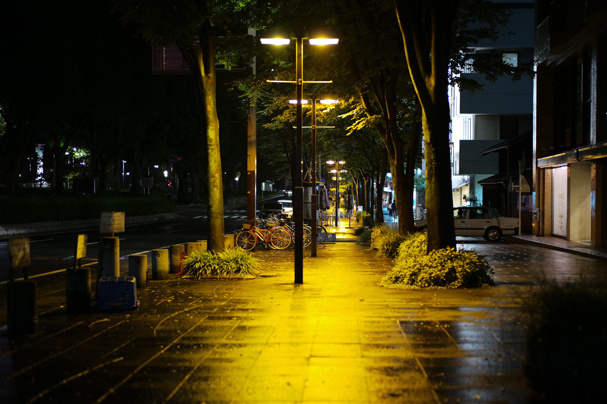 2017.10/09-10/22  ///【LEICA M10 + SUMMILUX-M F1.4/50mm ASPH】 作例 ブログ ライカM10 写真 leicam10 ライカ leica 愛知 名古屋 ズミルックス summilux enzobonafe boglioli gabrielepasini ガブリエレパジーニ isaia woolrich cruciani wh 干場スペシャル ダブルモンク 庭師 moorer 東区泉 名古屋テレビ塔 イザイアネクタイ enzobonafe×hiroshitsubouchi×zodiac j&mdavidson ジェイアンドエムデヴィッドソン ミュージアムカーフ ノルベージェ製法 1dx jmdavidson doublemonkstrapshoes pewter エンツォボナフェ 実店舗 プレーントゥ ダブルエイチ hoshibaspecial スーツフェア オーダースーツ jmスタッズベルト jmスタッズウォレット ジャックマリーマージュ zanone herno ペルシャ絨毯