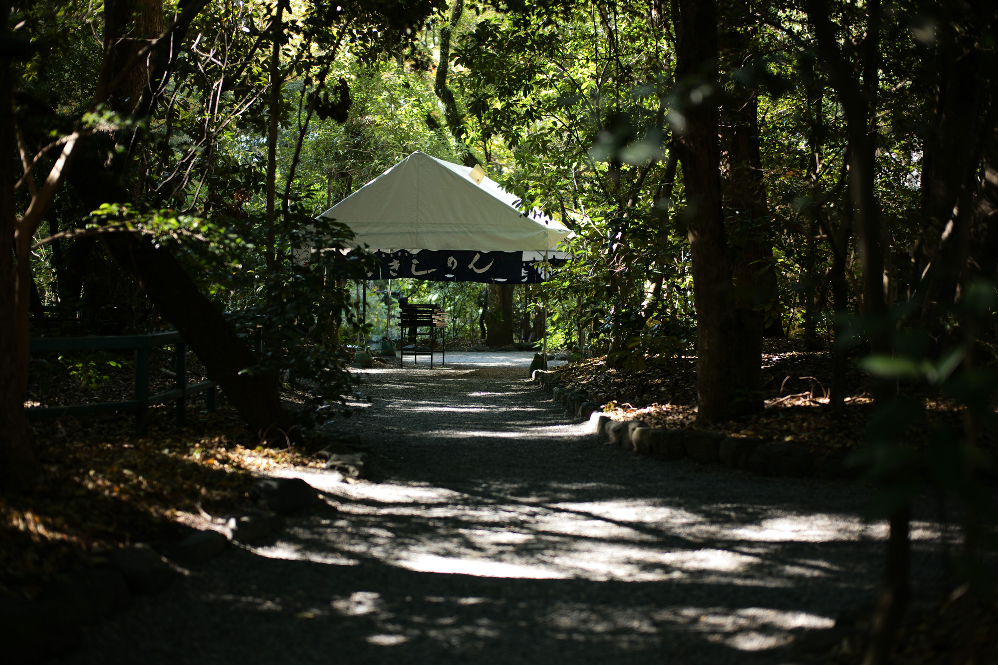  2017.10/30-11/05  ///【LEICA M10 + SUMMILUX-M F1.4/50mm ASPH】作例 ブログ ライカM10 写真 leicam10 ライカ leica 愛知 名古屋 ズミルックス  dents settefilicashmere pt01 ピンクパンツコーデ 1dx バルトロライトジャケット isaia invertere 晴れ hiroshitsubouchi ヒロシツボウチ ツボさん enzobonafe×hiroshitsubouchi×zodiac トリコロール ツボさん×ジェームスグロース 昼からワイン j&mdavidson 熱田神宮 atsutajingu 宮きしめん vanson バンソン doubleriders cuervo night tvtower c2 ライダース レザージャケット romeo ロメオ コードバン でら桜通り 名古屋テレビ塔summilux