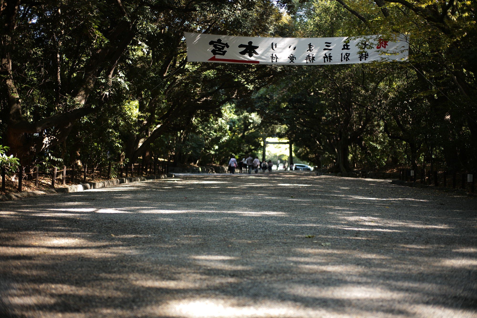  2017.10/30-11/05  ///【LEICA M10 + SUMMILUX-M F1.4/50mm ASPH】作例 ブログ ライカM10 写真 leicam10 ライカ leica 愛知 名古屋 ズミルックス  dents settefilicashmere pt01 ピンクパンツコーデ 1dx バルトロライトジャケット isaia invertere 晴れ hiroshitsubouchi ヒロシツボウチ ツボさん enzobonafe×hiroshitsubouchi×zodiac トリコロール ツボさん×ジェームスグロース 昼からワイン j&mdavidson 熱田神宮 atsutajingu 宮きしめん vanson バンソン doubleriders cuervo night tvtower c2 ライダース レザージャケット romeo ロメオ コードバン でら桜通り 名古屋テレビ塔summilux