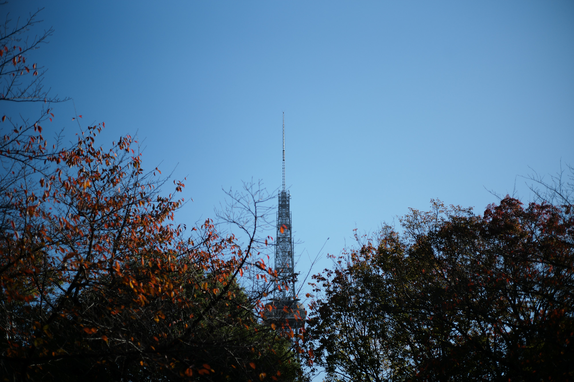 2017.11/06-11/12  ///【LEICA M10 + SUMMICRON-L F2/50mm 1999年製】　作例 ブログ ライカM10 写真 leicam10 ライカ leica 愛知 名古屋 ズミクロン canonplaza 名古屋インターシティ キャノンサービスセンター名古屋 vans アナハイムファクトリーコレクション オーセンティック authentic44dx オールドスクール oldskool36dx スケートハイ sk8hi38dx でら桜通り でら洋服屋 30年の歴史 enzobonafe bering romeocordovan パトリッククルーズライン patrickgenovaptn incotex 冬 素敵コレクション autumn 秋 aki 久屋大通公園 空 sky 名古屋テレビ塔 谷さん