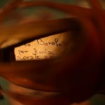 ENZO BONAFE (エンツォボナフェ) 【ART.EB-13】 Jodhpur boots BONAUDO MUSEUM CALF LEATHER ボナウド社ミュージアムカーフレザー ジョッパーブーツ NEW GOLD (ニューゴールド) made in italy (イタリア製) 2018 春夏のイメージ