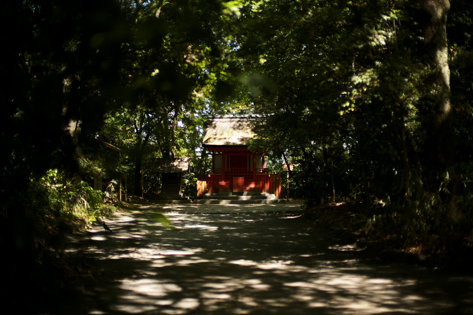 熱田神宮 ///【LEICA M10-P + NOCTILUX-M F0.95/50mm ASPH.】ライカM10-P 作例  愛知 名古屋 あつたじんぐう ライカM10 ライカM9 ライカM8 ライカMモノクローム leicam9 leicam8 leicamonochrom NOCTILUX ノクチルックス ノクティルックス ノクチ ドリームレンズ