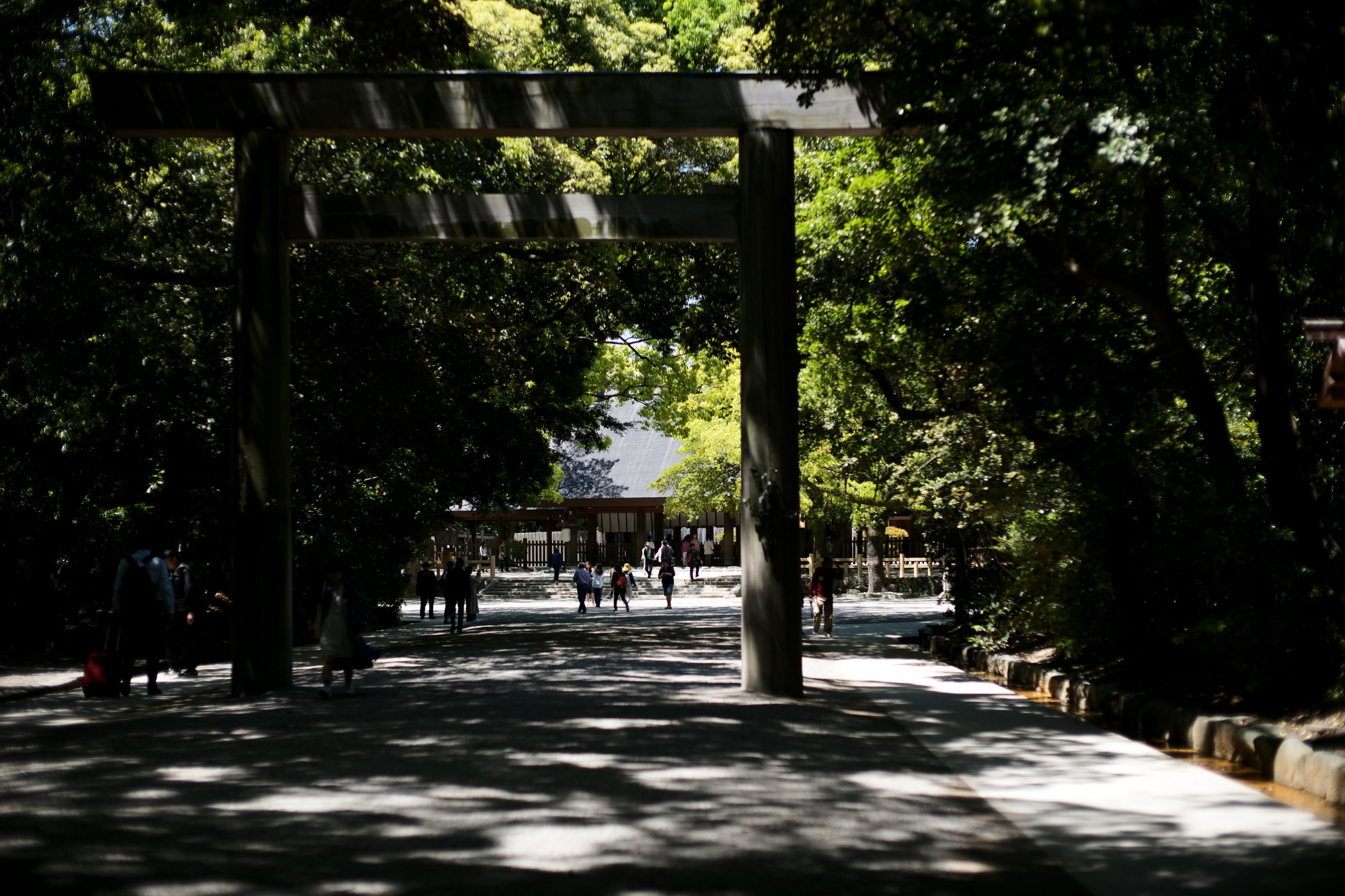 熱田神宮 ///【LEICA M10-P + NOCTILUX-M F0.95/50mm ASPH.】ライカM10-P 作例  愛知 名古屋 あつたじんぐう ライカM10 ライカM9 ライカM8 ライカMモノクローム leicam9 leicam8 leicamonochrom NOCTILUX ノクチルックス ノクティルックス ノクチ ドリームレンズ