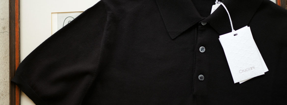 Cruciani (クルチアーニ) Knit Polo Shirt (ニット ポロシャツ) 27 