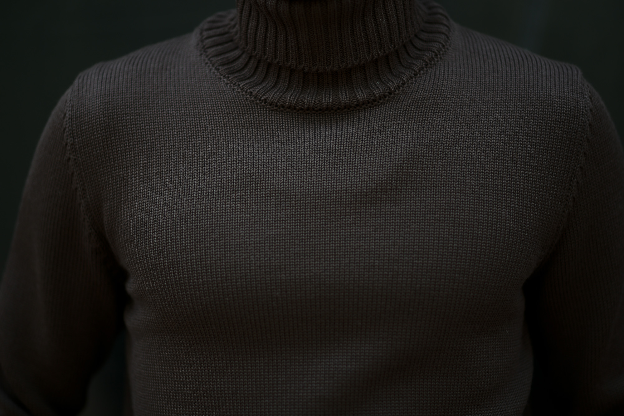 ZANONE (ザノーネ) Turtle Neck Sweater (タートルネックセーター) 810005 Z0229 VIRGIN WOOL 100% ミドルゲージ ウールニット セーター BROWN (ブラウン・Z5204) made in italy (イタリア製) 2019 秋冬新作 【入荷済みとなります】【発売中】  zanone ニット クルーネック 愛知 名古屋 Alto e Diritto アルト エ デリット