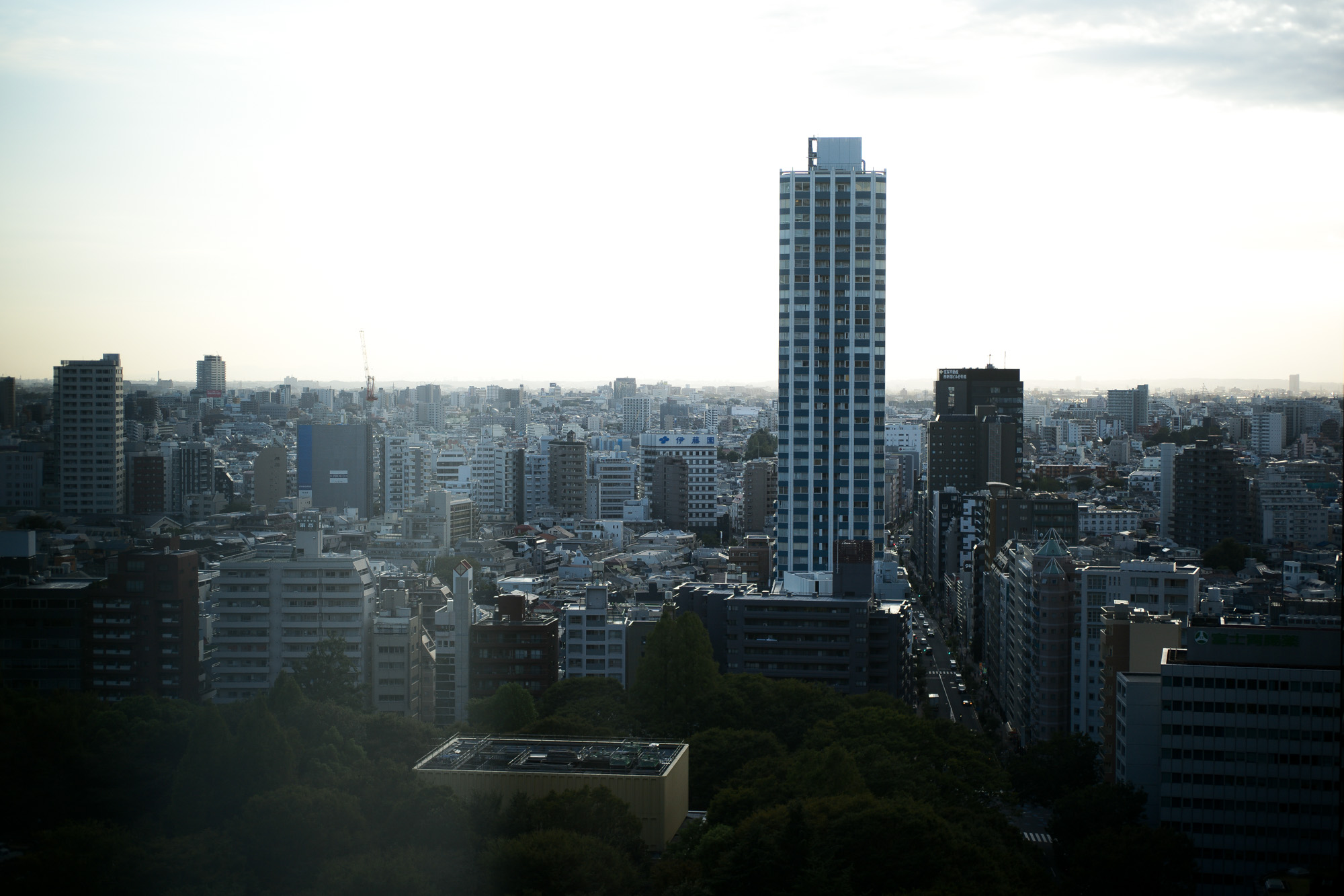 HILTON TOKYO // 2019.10.09-10.10 ヒルトン東京 新宿 愛知 名古屋 alto e diritto アルトエデリット ホテル ホテルステイ エグゼクティブラウンジ ドレスコード