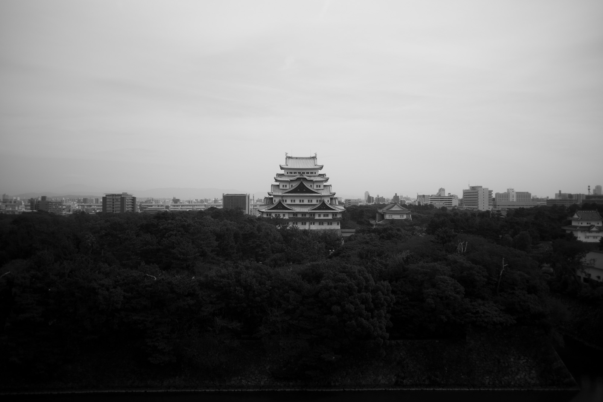 HOTEL NAGOYA CASTLE ホテルナゴヤキャッスル 名古屋城 Castle suite キャッスルスイート 愛知 名古屋 altoediritto アルトエデリット leica leicam10p ASC100 EDITION summicron ズミクロン　ASC Cine Classicモードでは35mm映画用フィルムの質感