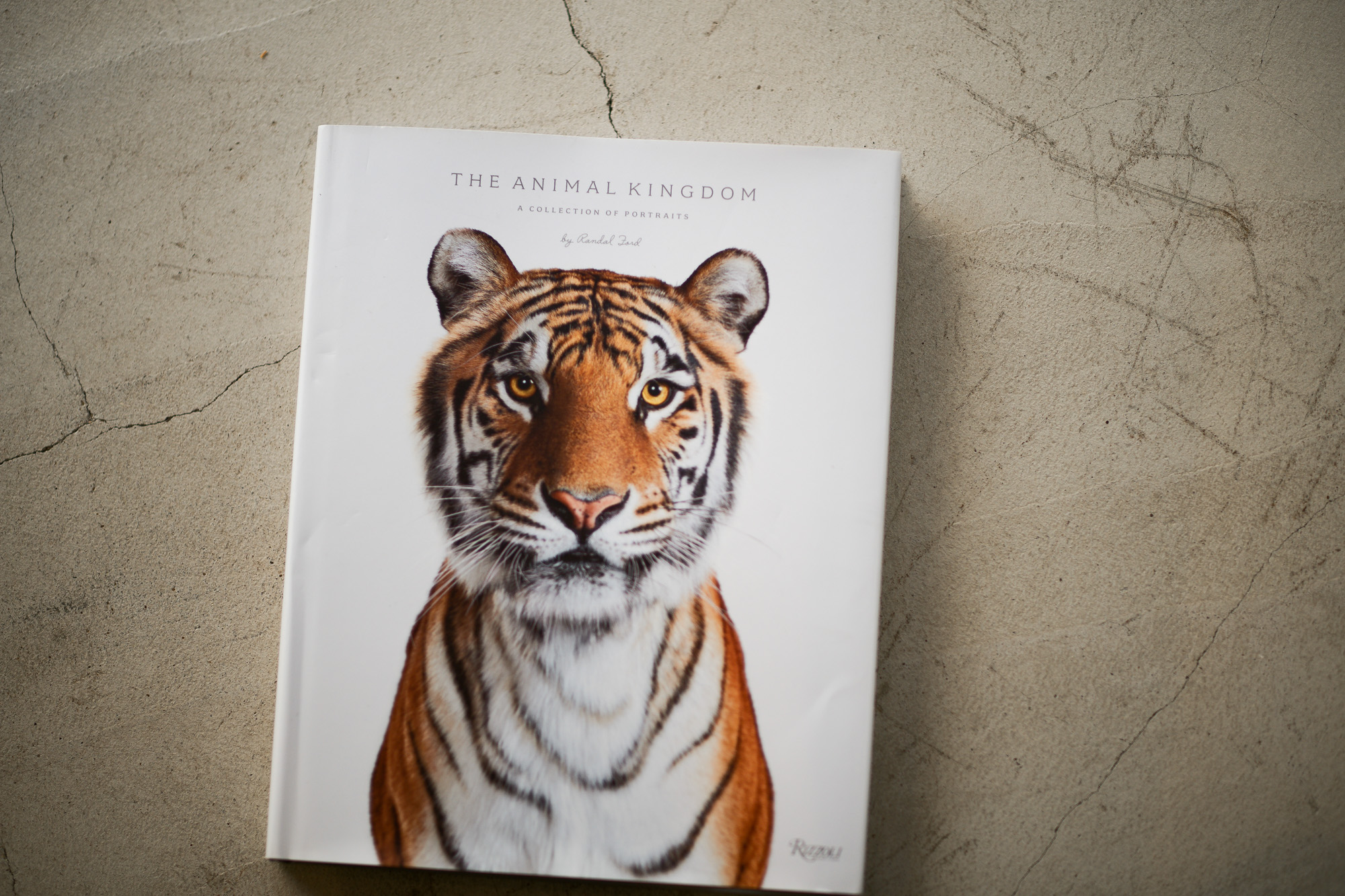THE ANIMAL KINGDOM /// A COLLECTION OF PORTRAITS Randal Ford alto e diritto アルトエデリット
