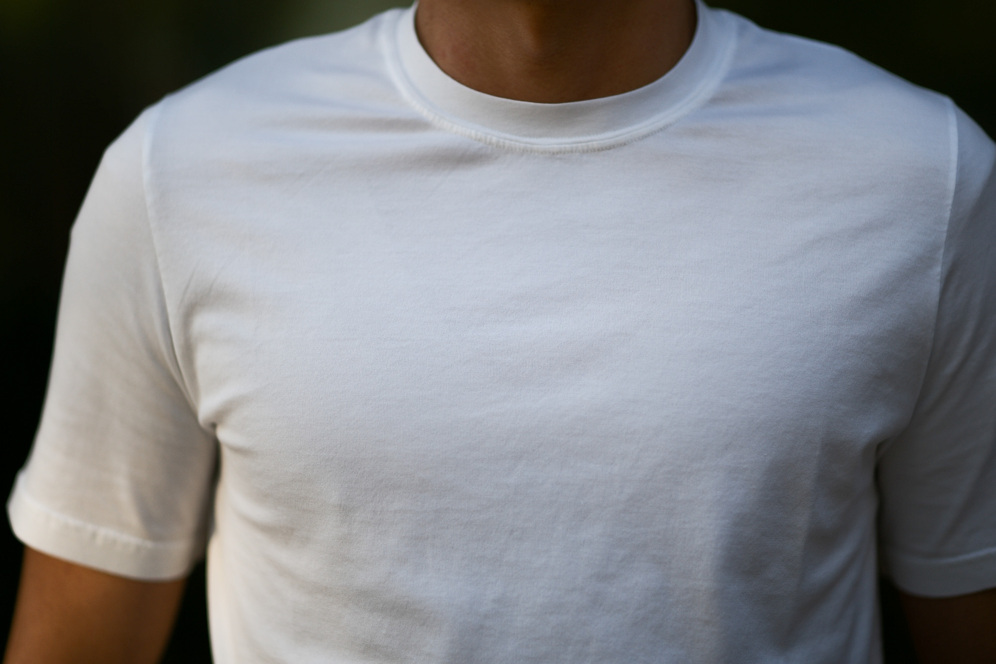 FEDELI(フェデーリ) Crew Neck T-shirt (クルーネック Tシャツ) ギザコットン Tシャツ WHITE (ホワイト・41) made in italy (イタリア製) 2020 春夏 【ご予約受付中】 愛知 名古屋 altoediritto アルトエデリット TEE
