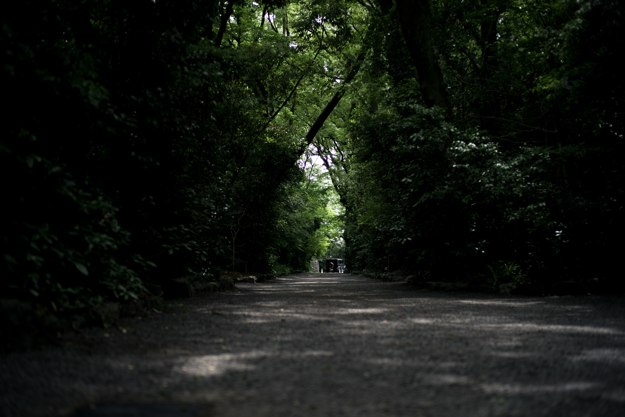 ATSUTA JINGU ///【LEICA M10-P ASC 100 Edition + SUMMILUX-M F1.4/50mm ASPH】 2020年6月03日 水曜日 LEICA M10-P ASC 100 Edition ライカ M10 P ライカ 限定モデル ズミルックス 標準レンズ ELMAR35 1938年製 エルマー ビンテージレンズ 愛知　名古屋 altoediritto アルトエデリット LEICA M10-P “ASC 100 Edition” 映画製作者のためのM型カメラライカは、全米撮影監督協会（American Society of Cinematographers、ASC）の設立100周年を記念し、映画の世界にふさわしい特別モデル「ライカM10-P “ASC 100 Edition”」を発表いたしました。     映画芸術を推進するために1919年に設立された全米撮影監督協会は、この分野では世界で最も長い歴史を持ち、時代を代表する撮影監督たちが会員となってきました。ハリウッドに本部を置く同協会は、ライカと同じく100年以上にわたり、あらゆる世界の文化人に影響を与え、それを形作ってきました。同協会が2019年2月に33回目を数える名誉あるASCアワードを表彰したことに合わせ、映画製作者のための特別モデル「ライカM10-P “ASC 100 Edition」がお披露目されました。無類の写真好きだったオスカー・バルナックは、重量のあるスチルカメラの扱いにくさを軽減する必要性を感じていました。そこで、当時の映画製作者が主に使用していた35mm映画用フィルムを使用し、映画の2コマ分を1画面として使う24×36mmのフィルムサイズを採用したスチルカメラを製作しました。これについて、彼は自身のメモに「Mikrokinoeinrichtung fertig für Aufnahmen」（映画の撮影に対応したマイクロシネ装置）と書き記しています。この発想から1914年に「ウル・ライカ」が生まれることになり、現代に続く35mm判の基礎となりました。これが「ウル・ライカ」の誕生にまつわる1つのストーリーですが、実はその裏にもう1つのストーリーがあります。オスカー・バルナックは当時、映画用フィルムの露出をテストできる装置を求めていました。20世紀初頭ごろは、撮影する前にシーンの視覚的および技術的特性をチェックするのは、現代以上に大変な作業でした。当時の映画製作者は、大型で重いシネカメラで貴重な35mmフィルムを回し続けて撮影しながら、適正露出を調べなくてはならなかったのです。オスカー・バルナックはこれに対し、自身が開発した画期的な「ウル・ライカ」のおかげで、フィルムのわずか1コマを露出させるだけでこれを確認できるようにしました。さらに、彼はこの技術に磨きをかけ、露出過度および露出不足のフィルムを使用して、理想的な露出値の近似値を得ることに成功しました。バルナックが生み出した35mm判スチルカメラ第1号機によってフォトグラフィーの世界に新時代が到来したことで、ライカの名は映画製作と強く結びつくことになりました。そしてこの度、1世紀以上前に始まったストーリーに新たなエピソードが加わりました。それが、バルナックの独創的な発想を現代に色濃く伝える特別モデル「ライカM10-P “ASC 100 Edition"」です。この特別モデルは、市販されているカメラの中で、写真に映画の質感を再現することができる唯一のカメラです。このモデルで初めて、シーンの特性、主観的な「感じ方」やフレーミングなどを確実かつ容易に解釈できるようになりました。シネルックの特別な仕様の「ライカM10-P」とレンズ「ライカ ズミクロンM f2.0/35mm ASPH.」を組み合わせたこの特別モデルは、卓越した視覚体験を提供したいと考える映画監督や映画製作者の大きな力となる、まさにプロ向けのアイテムと言えます。2つのシネルックモデルは、ライカの画質を担当するスペシャリストと世界的な影響力を持つ映画製作者やASCのメンバーが協力して開発しました。「ASC Cine Classic」モードでは35mm映画用フィルムの質感を、「ASC Contemporary」モードでは現代映画の最先端のデジタル的な質感を表現することができます。また、「ライカM10-P “ASC 100 Edition”」がプロフェッショナルな映画製作者にとって完璧なアイテムとなるよう、映画撮影に用いられるさまざまなアスペクト比をユーザーが自由に選択できるようになっており、その選択を有効にすると、選択したアスペクト比がブライトフレームとして表示されます。この特別限定モデルには、電子ビューファインダー「ビゾフレックス」と「ライカM-PLマウント」も含まれています。シネルックと選択可能なアスペクト比だけでなく、さらにビューファーンダーを組み合わせると、デジタルシーンファインダーとして活用できます。また、「ライカM-PLマウント」を装着すると、市販されているPLマウント系のほぼすべてのシネレンズに対応できるようになります。さらに「ライカM10-P “ASC 100 Edition”」では、撮影を開始する前に、映画監督や映画製作者が希望のレンズでシーンをチェックすることができます。そこにカメラとアプリ「Leica FOTOS」を組み合わせれば、ロケーション探しもより簡単に行えるようになり、その内容を撮影プロジェクトの関係者全員とすぐに共有して話し合うことも可能です。オスカー・バルナックのビジョンの近代的な解釈は、「ライカM10-P “ASC 100 Edition”」ならではのユニークな機能に加えて、カメラのデザインにも反映されています。本質を徹底的に追求して、無駄をそぎ落としたデザインを採用し、ブラッククローム仕上げの表面に刻み込まれている文字もすべてブラックとなっています。また、「ライカSL」を思い起こさせるレザー外装により、外観の機能的な印象がさらに強められています。セットの特別レンズ「ライカ ズミクロンM f2.0/35mm ASPH.」の設計はカメラとは対照的に、「ウル・ライカ」の特徴が反映されています。ゴールドアルマイト仕上げが画期的な「ウル・ライカ」の真鍮部を想起させるとともに、スタイリッシュなゴールドがモダンな印象を与えています。さらに、一定の照明条件下では消えたように見える、トップカバーに配されたクラシックなASCのロゴが「ライカM10-P “ASC 100 Edition”」の外観を引き締めています。